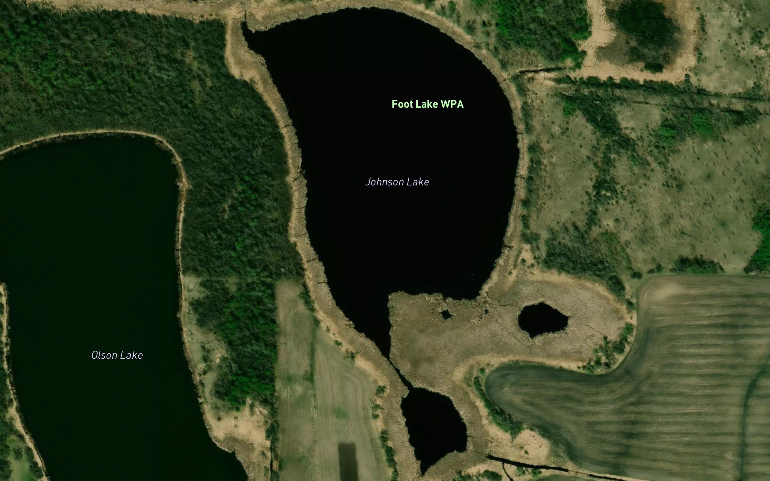 Johnson Lake