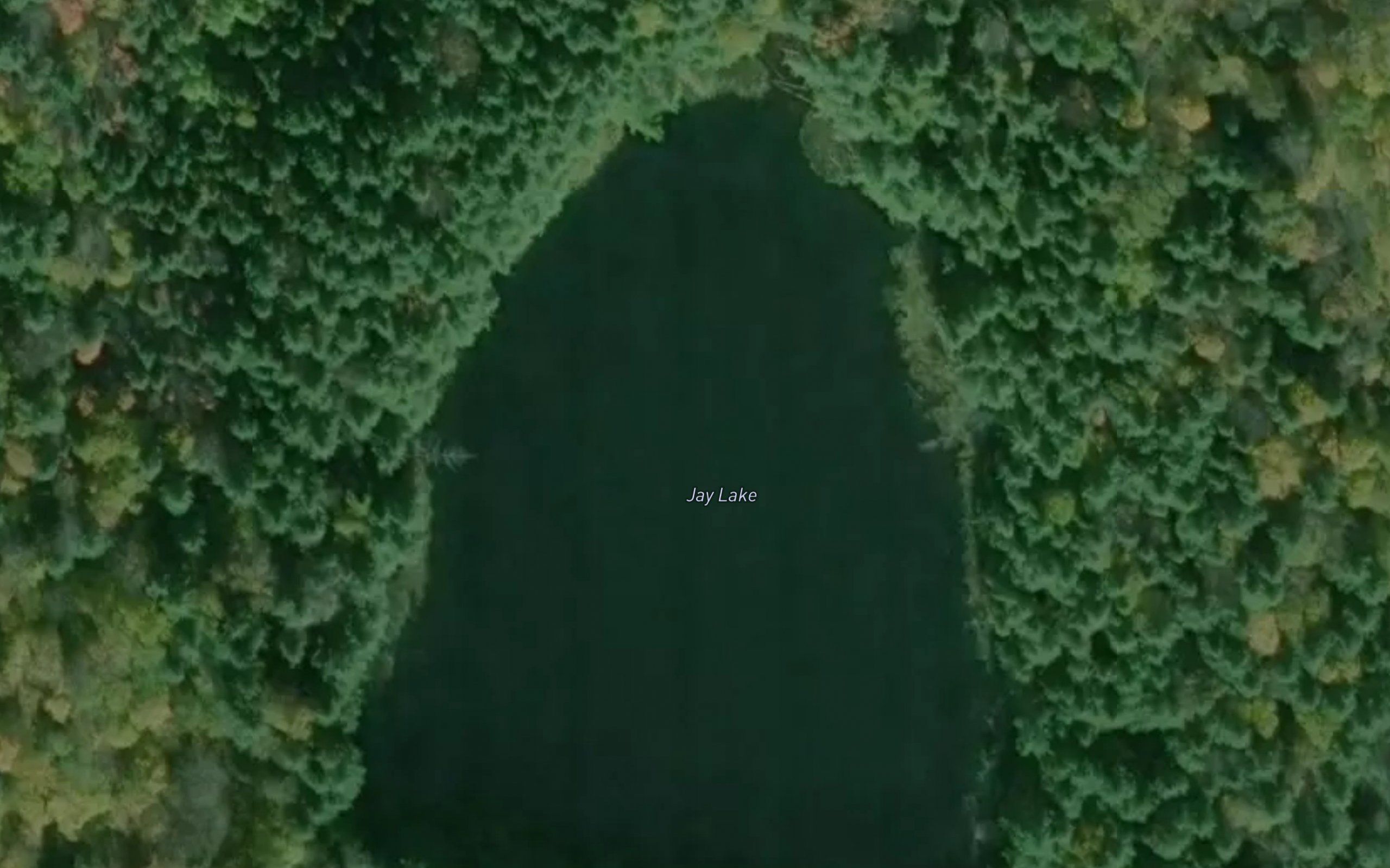Jay Lake
