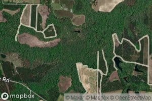 Maxwell Creek