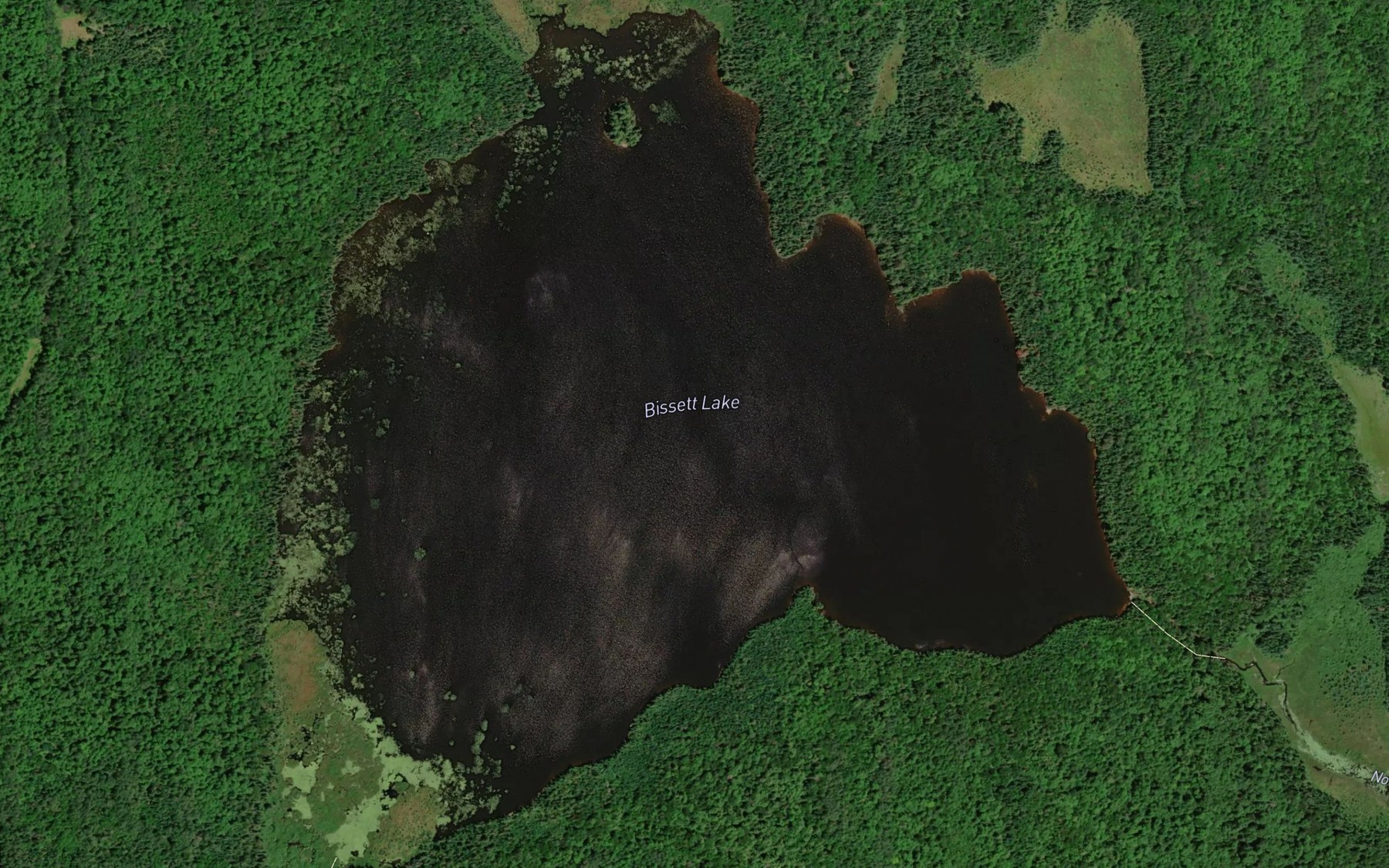 Satellite map of the Bissett Lake