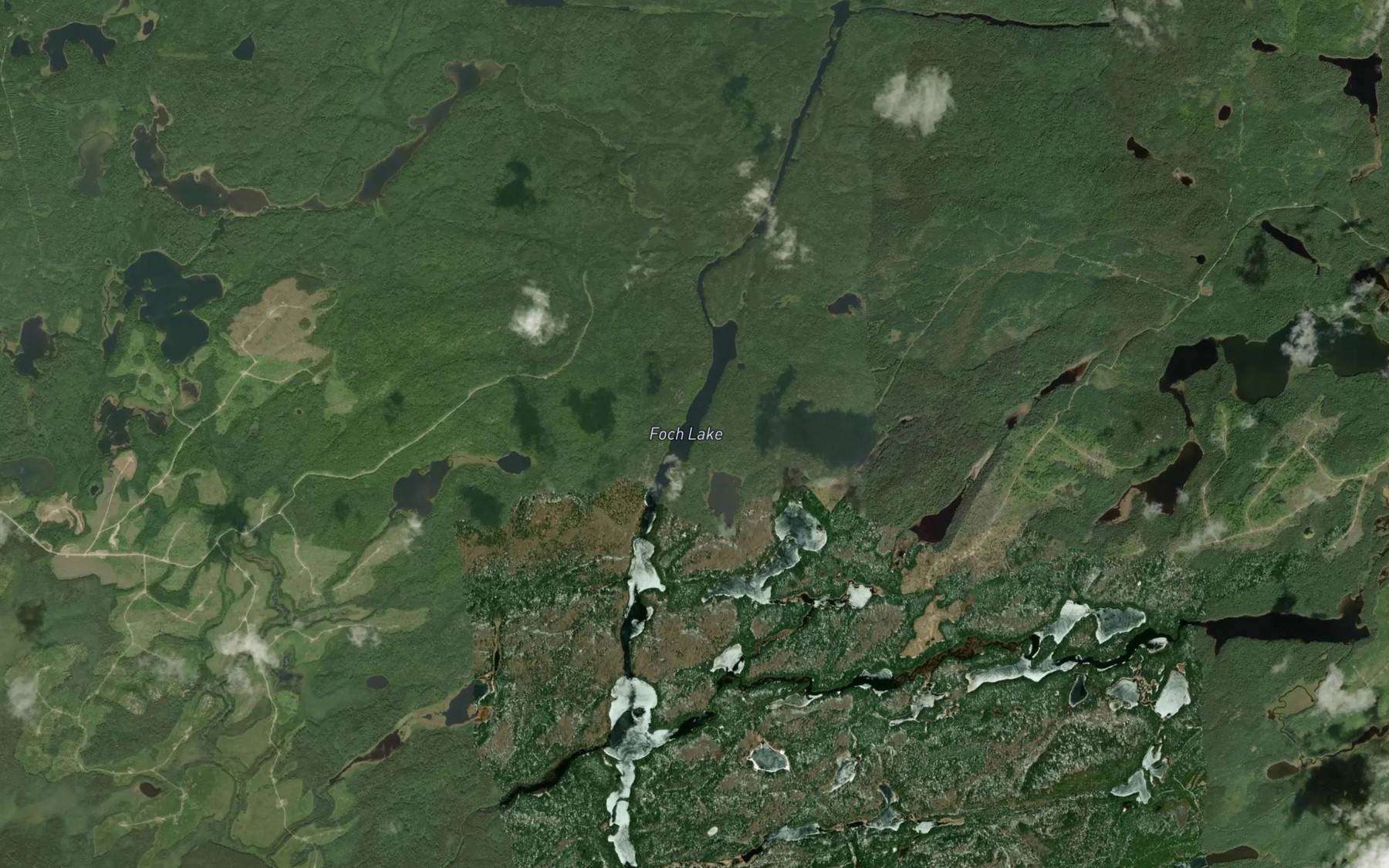 Satellite map of the Foch Lake