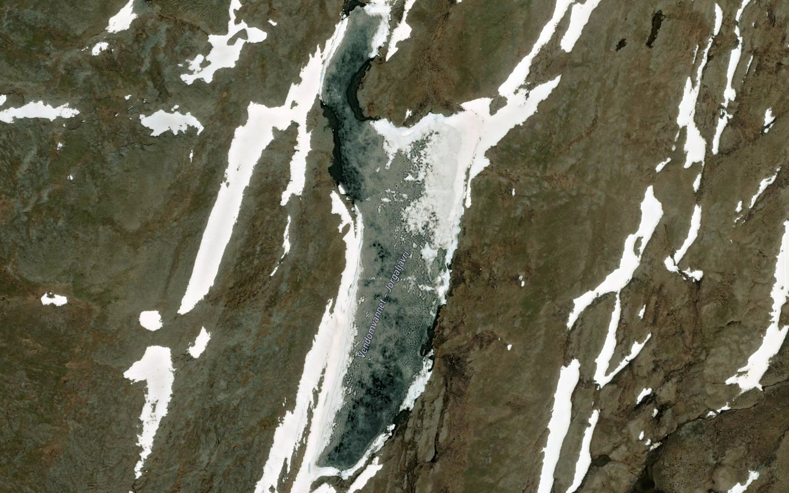 Jargaljavri
