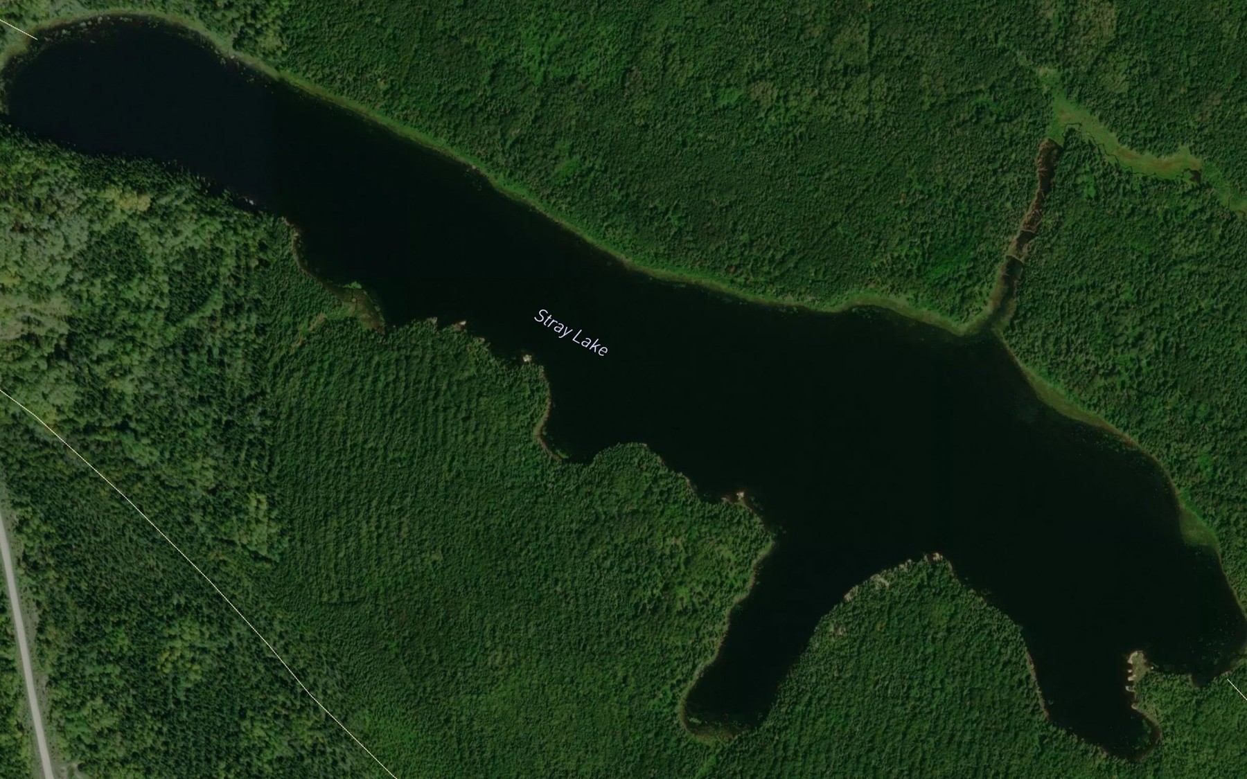 Satellite map of the Stray Lake