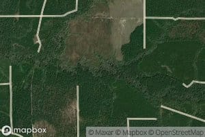 North Branch Cypress Creek