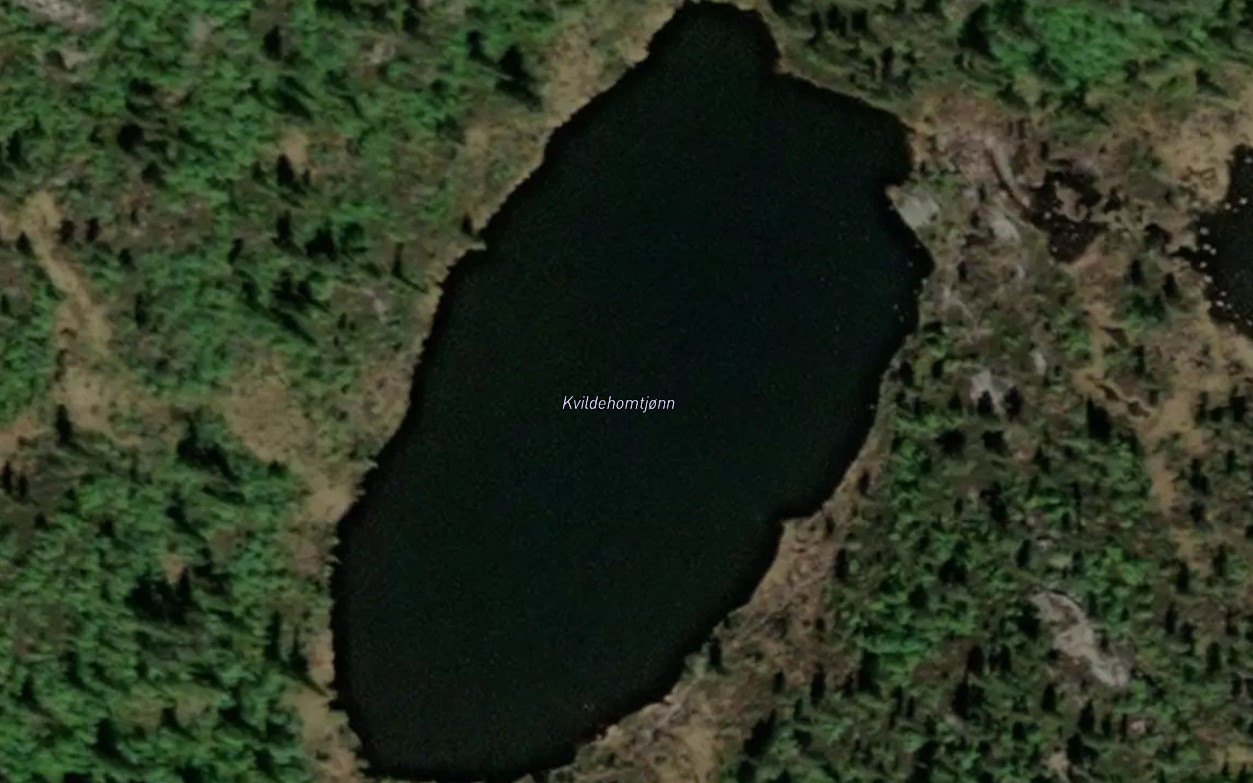 Kvildehomtjonn