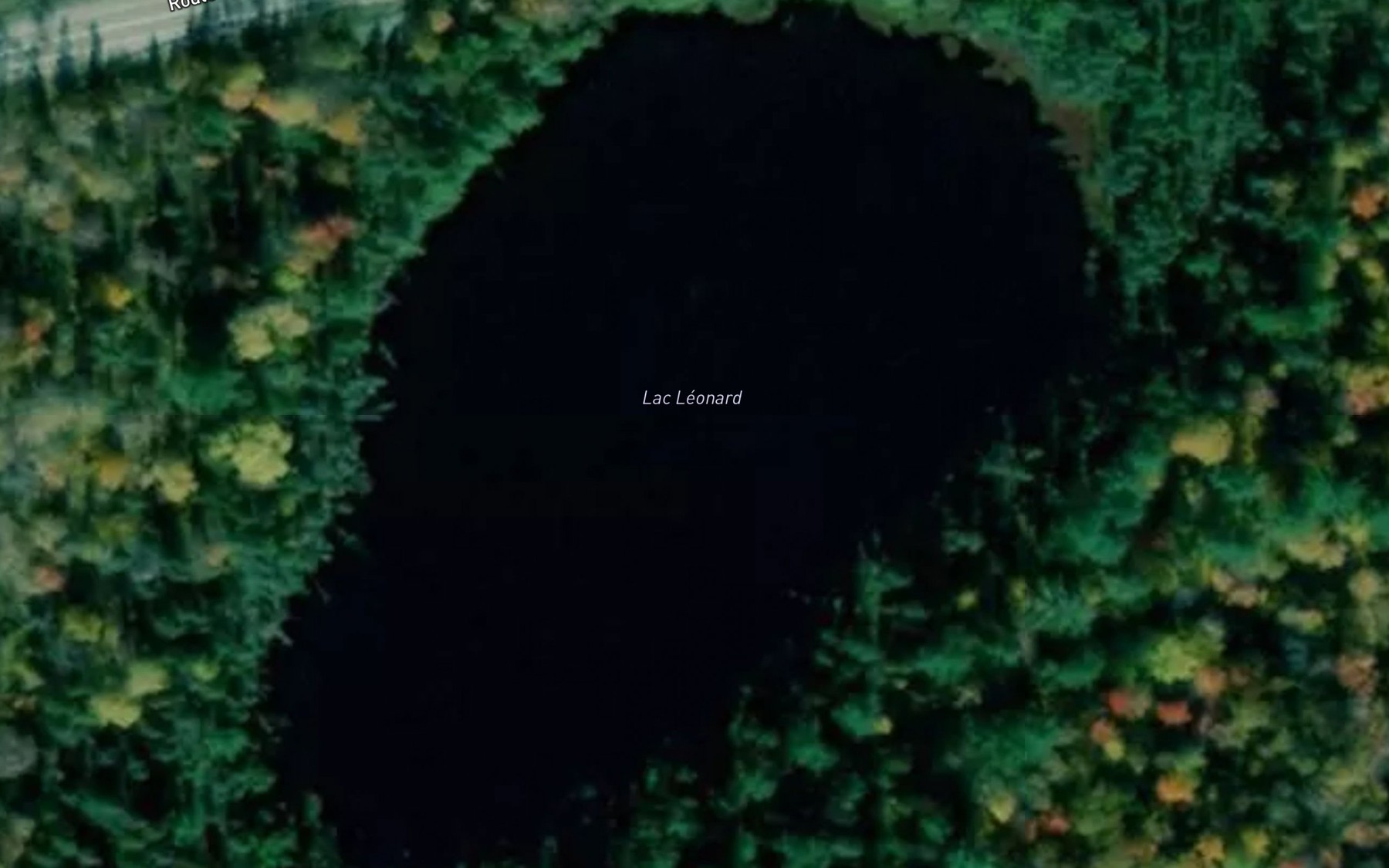 Satellite map of the Lac Leonard