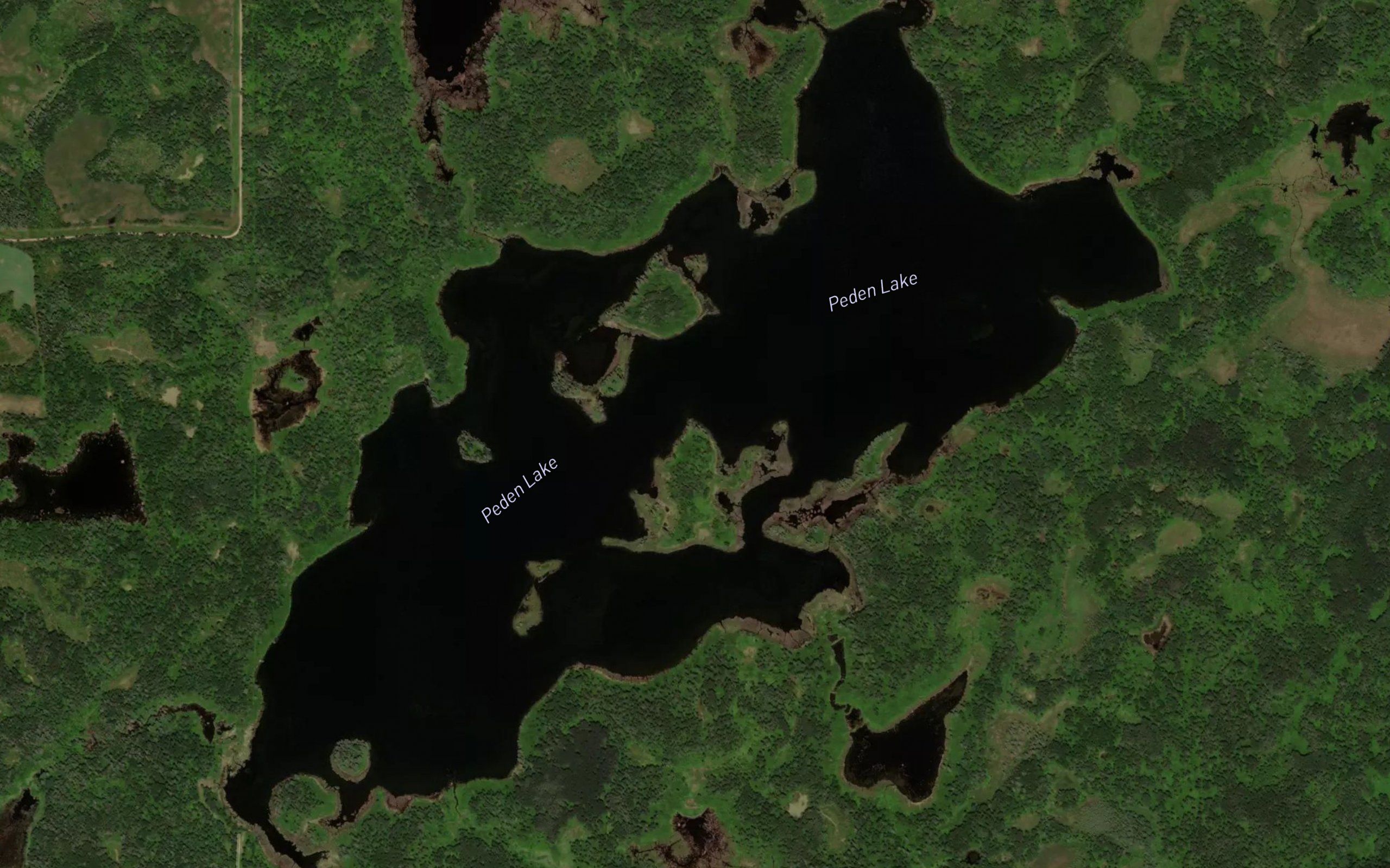 Peden Lake