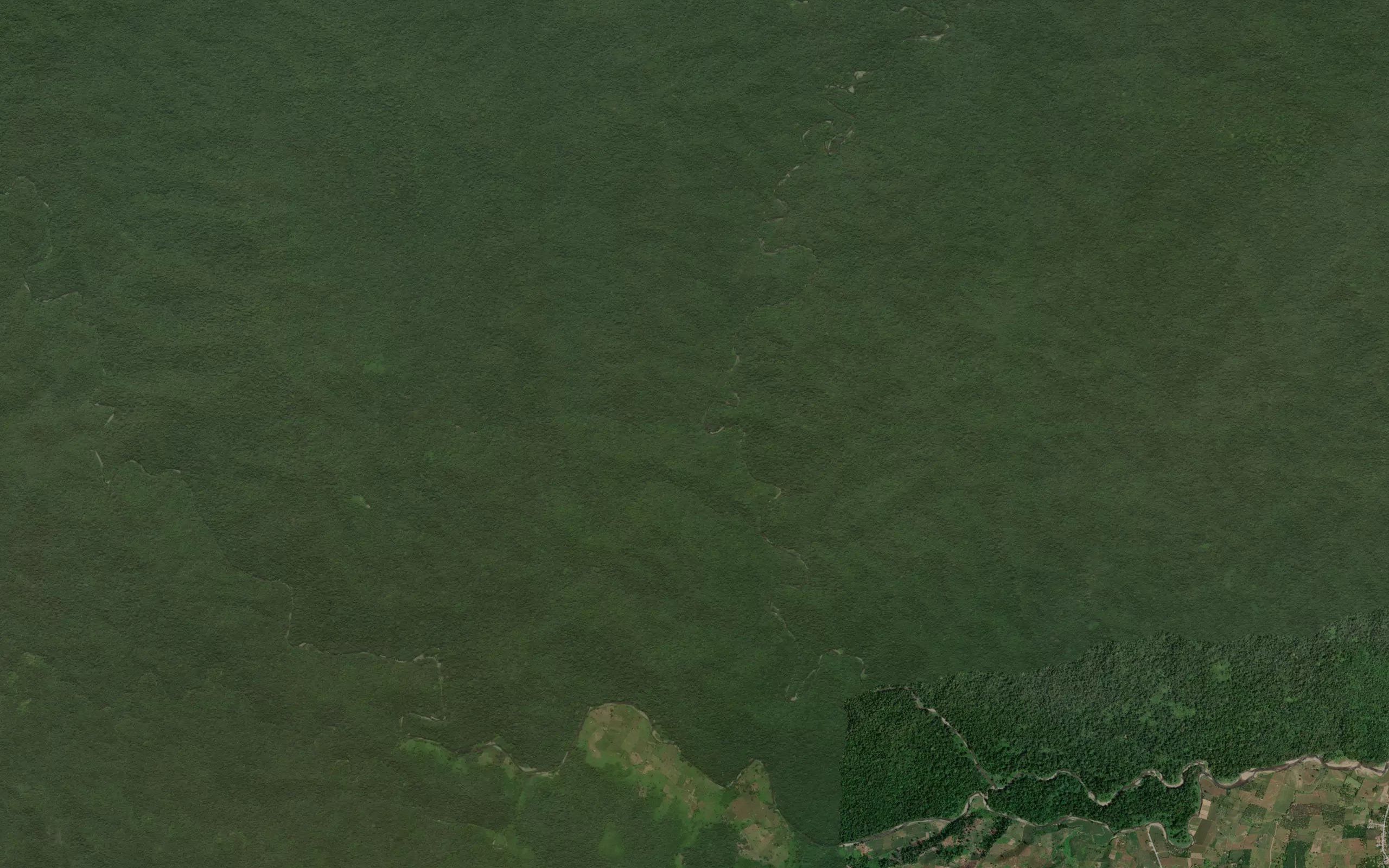 Dutula Tabongo