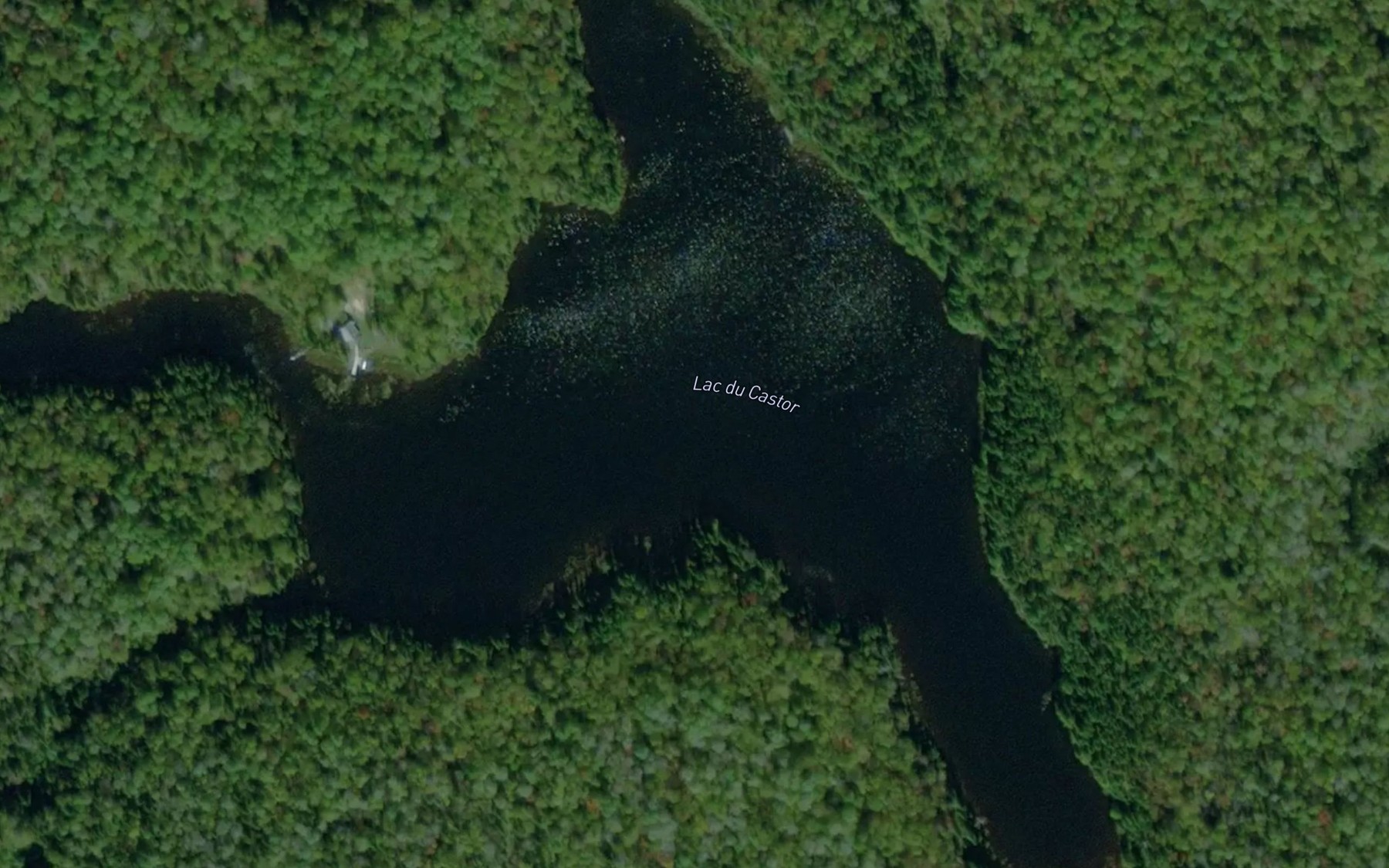Satellite map of the Lac du Castor