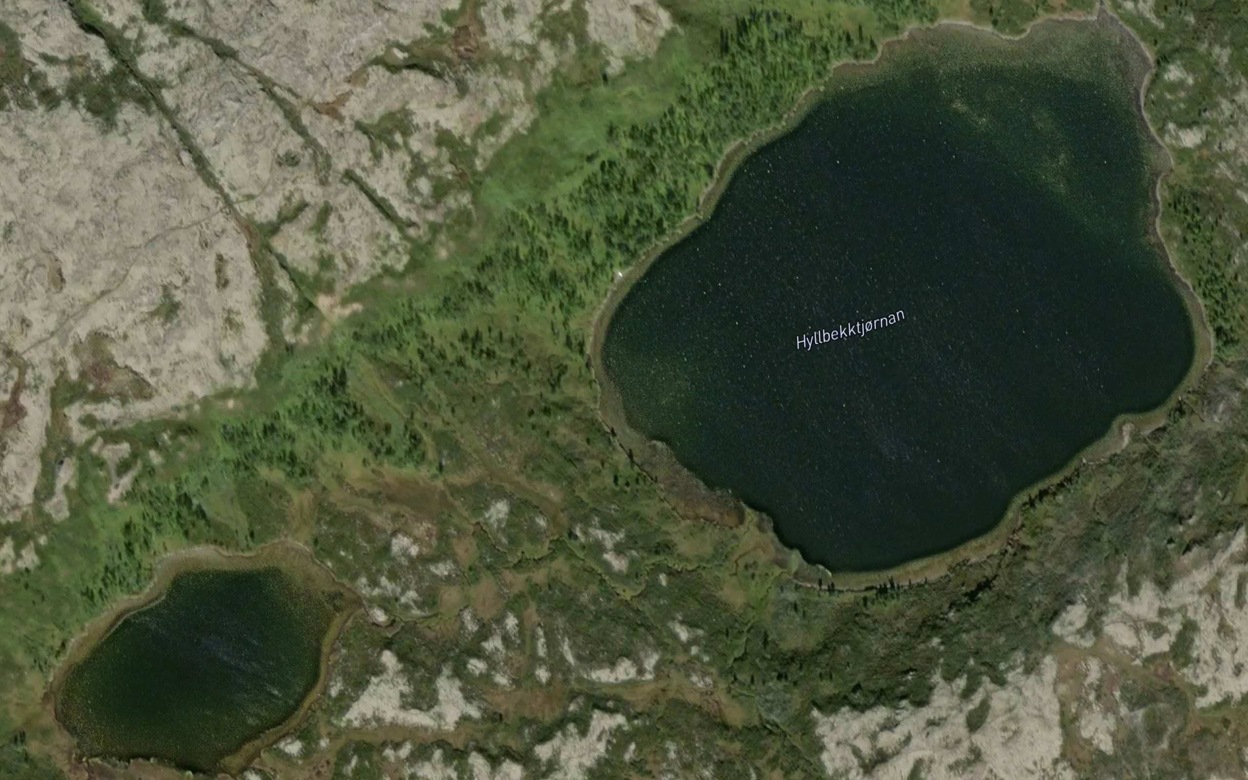 Hyllbekktjornan