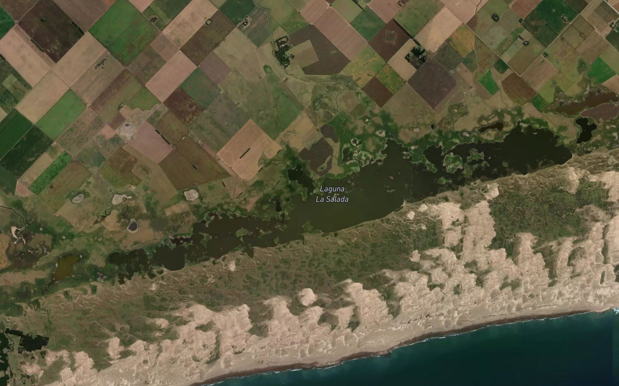 Laguna La Salada