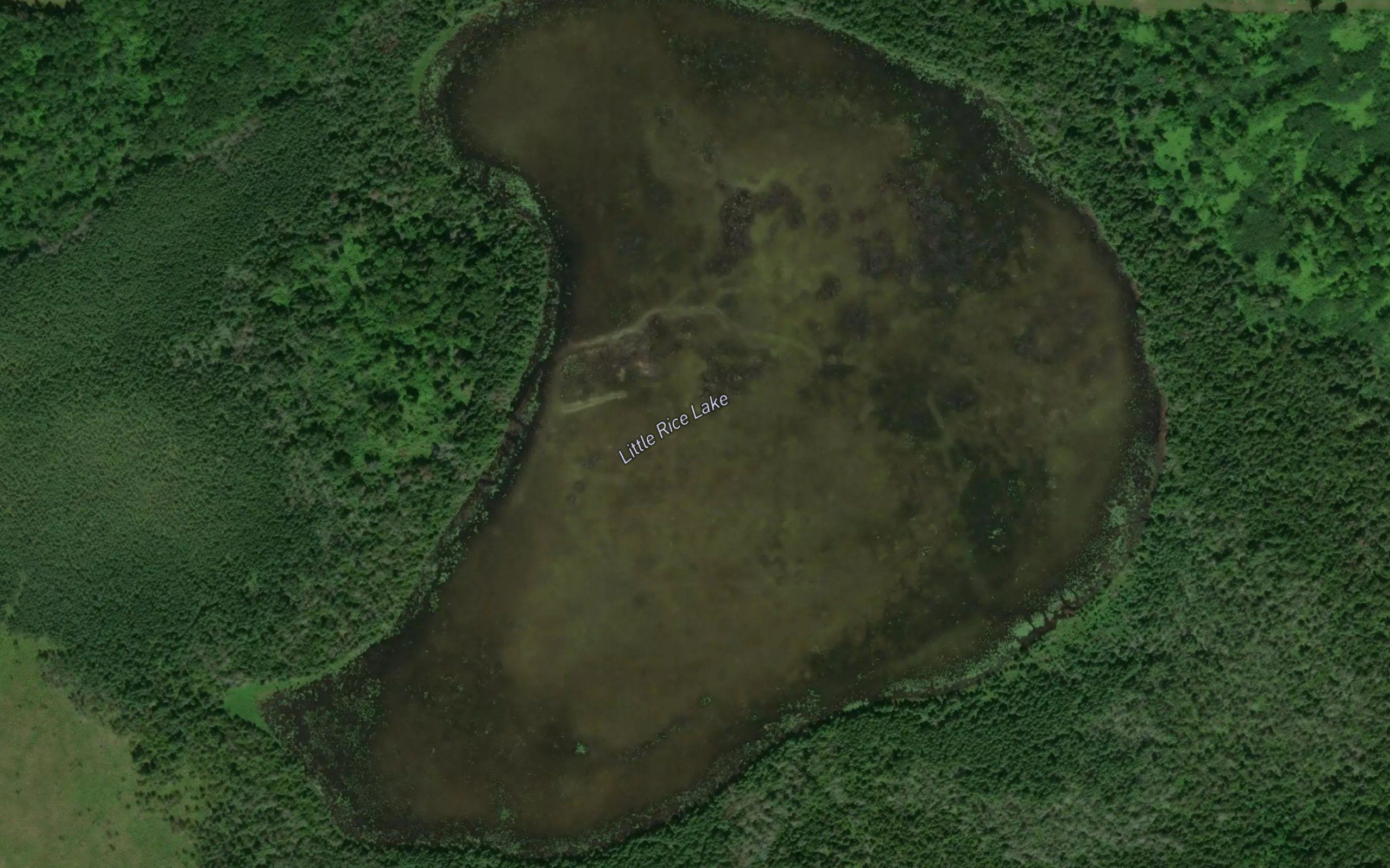 Little Rice Lake