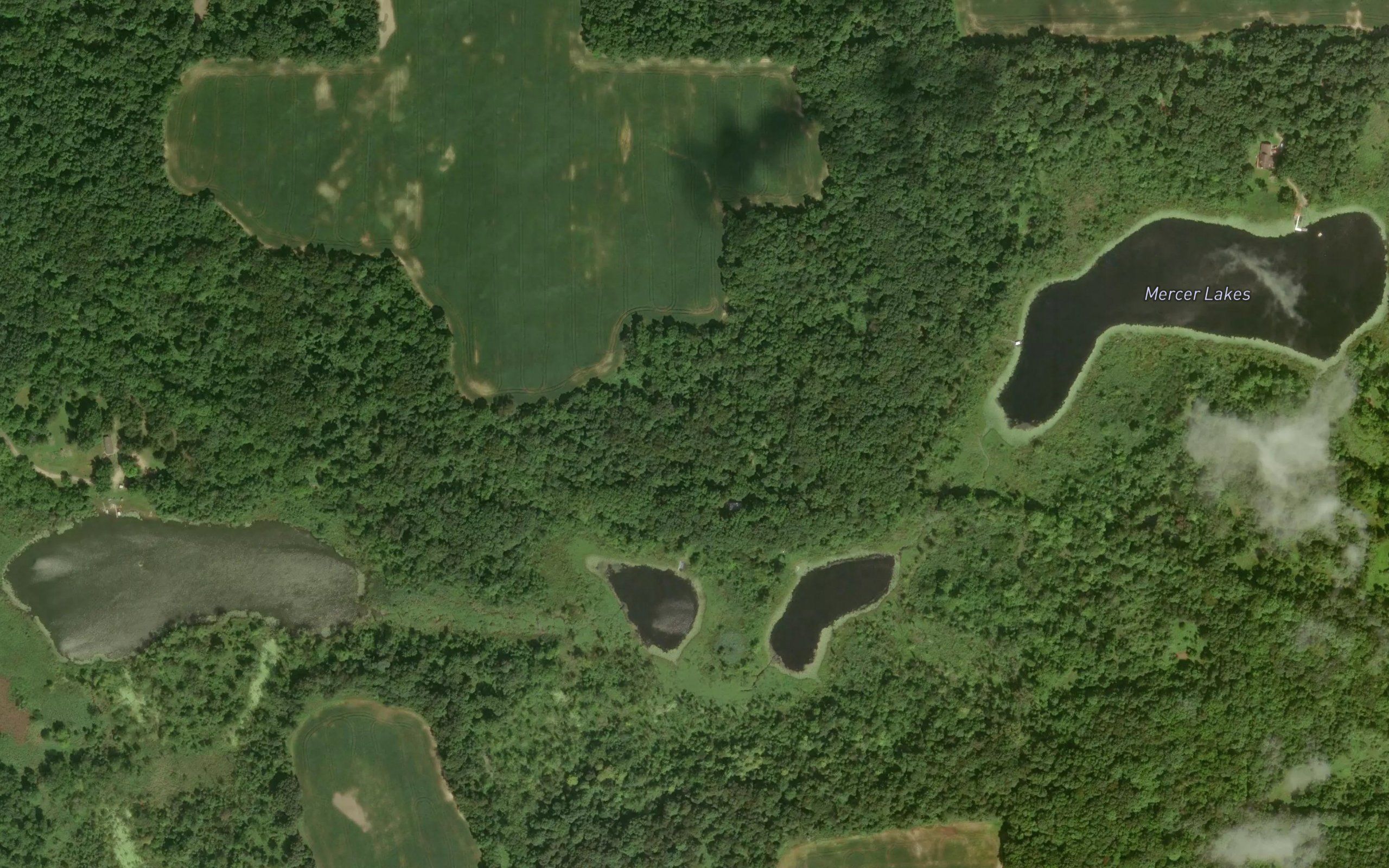 Mercer Lakes