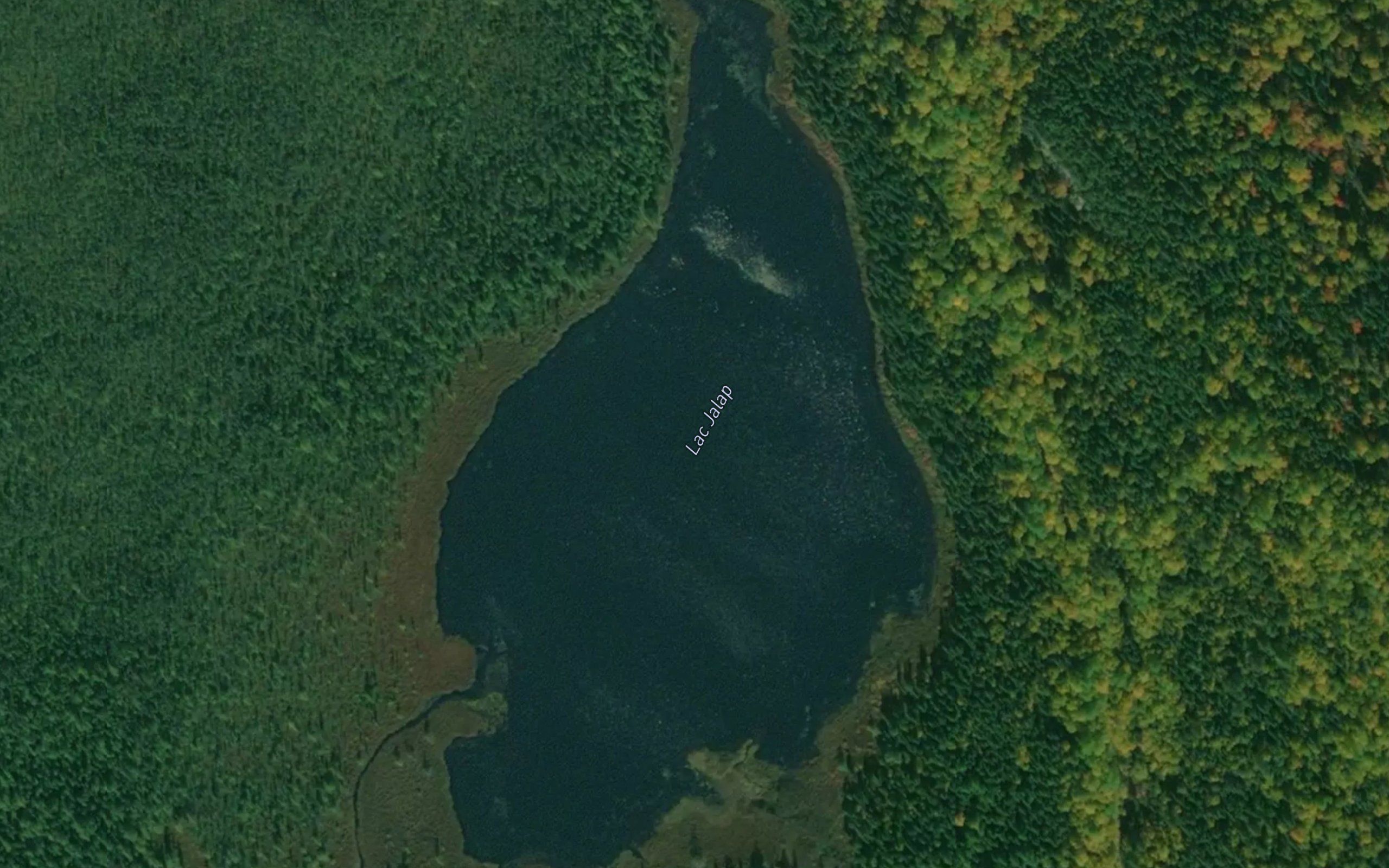 Lac Jalap