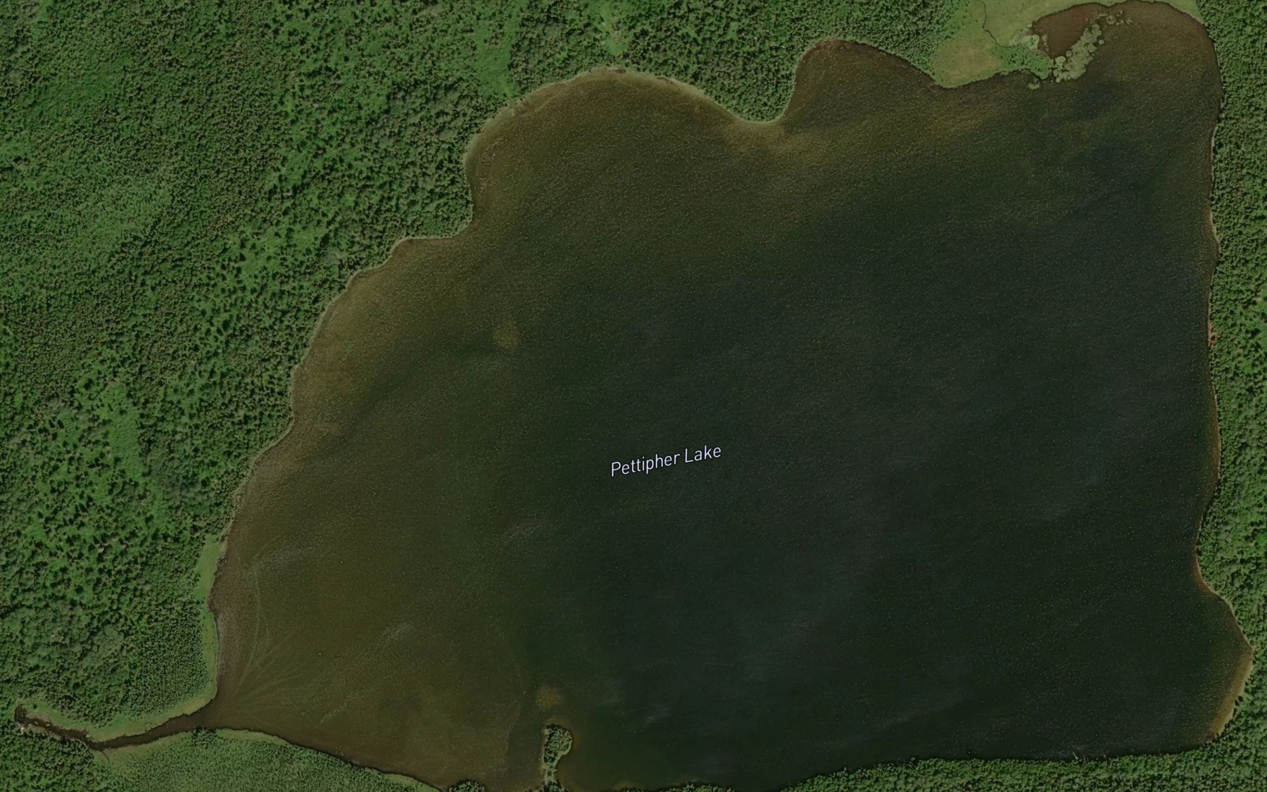 Satellite map of the Pettipher Lake