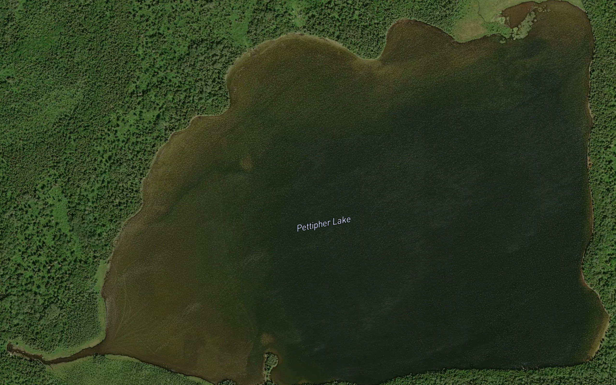 Pettipher Lake