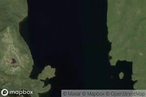 Lac Deer