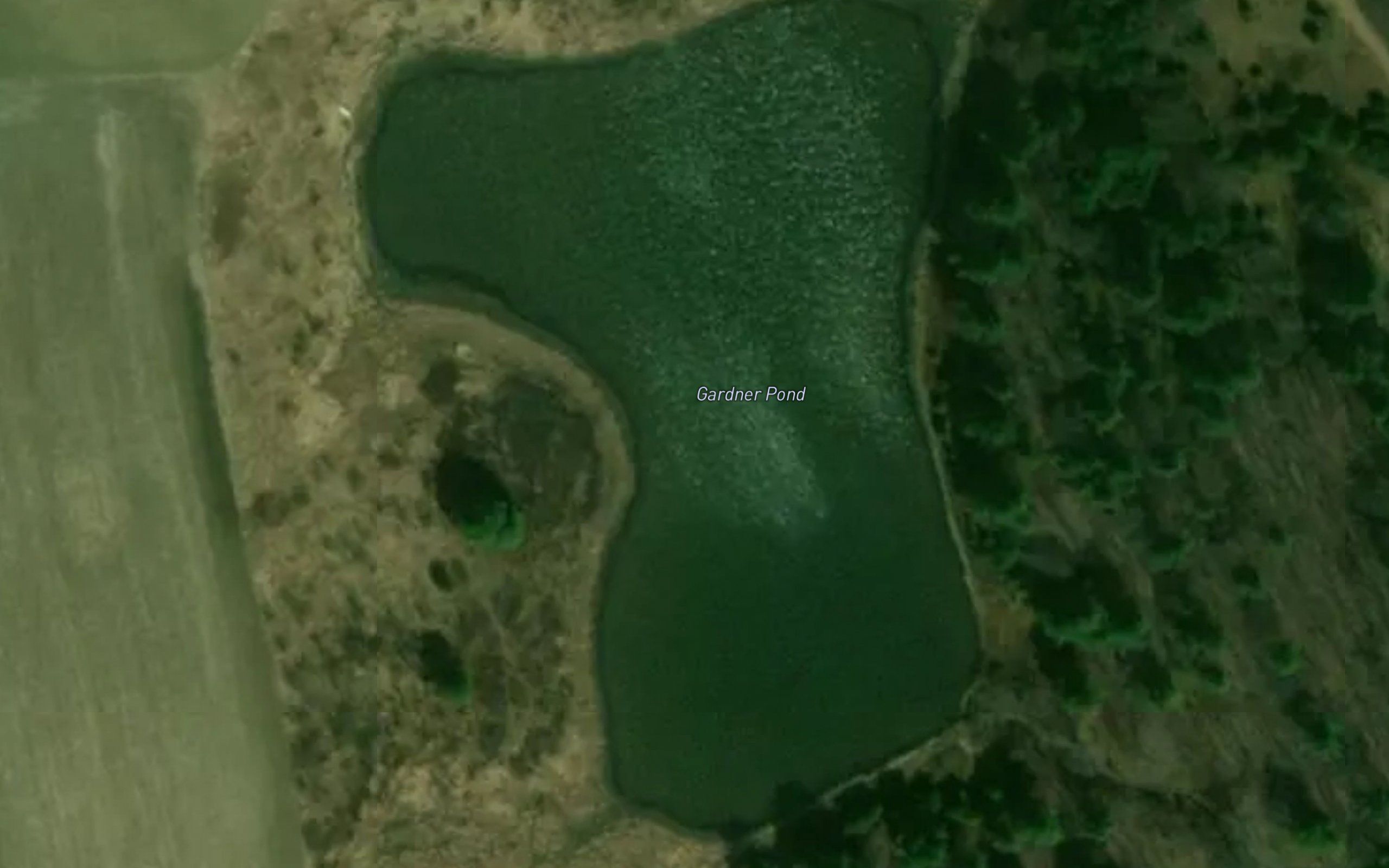 Gardner Pond