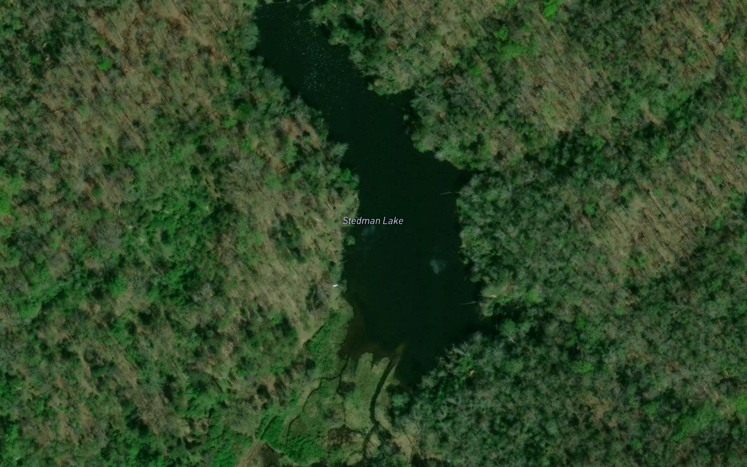 Stedman Lake