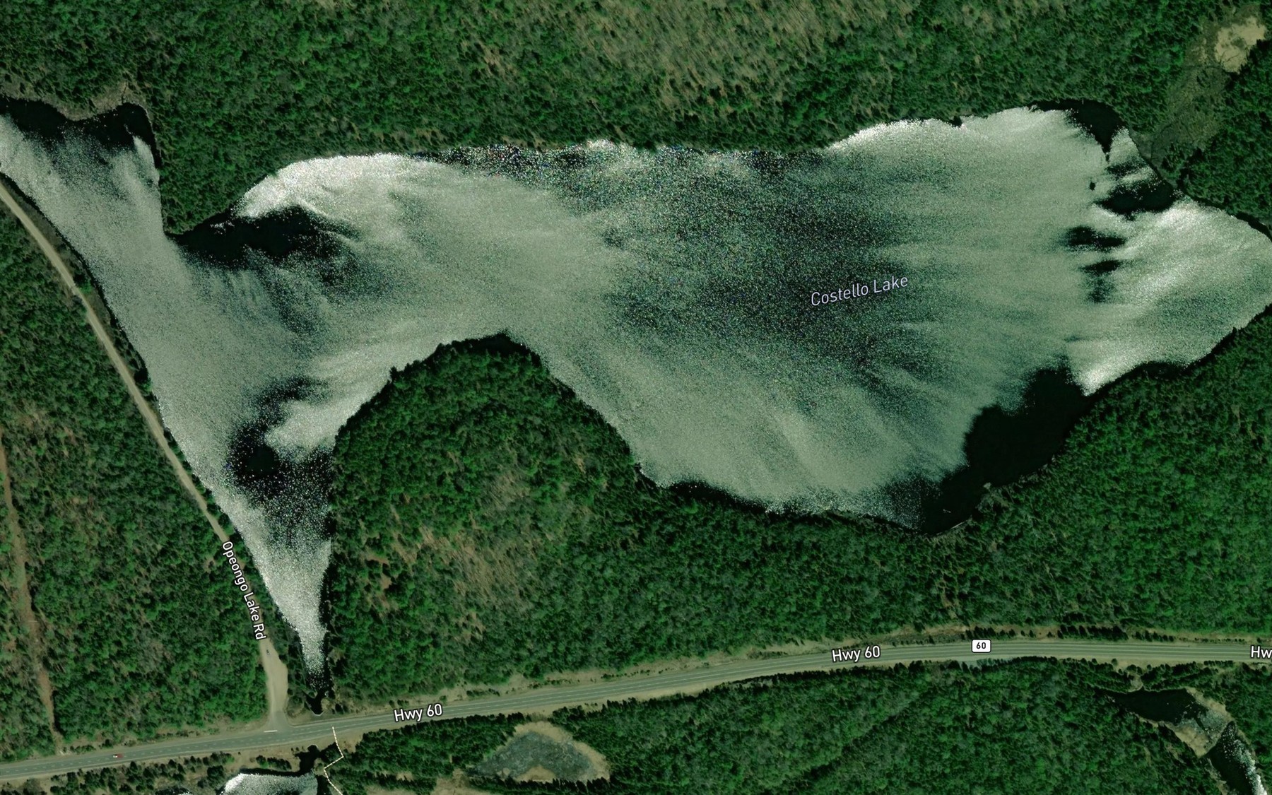 Satellite map of the Costello Lake
