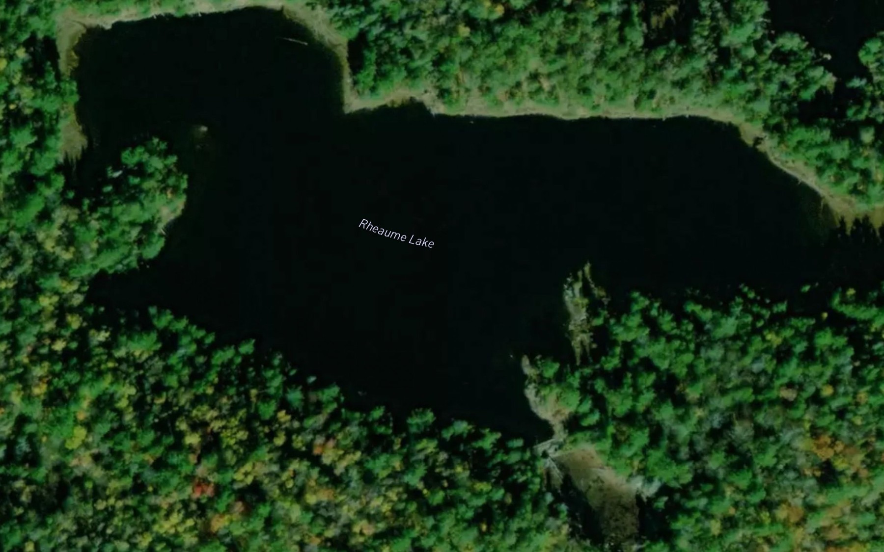 Satellite map of the Rheaume Lake
