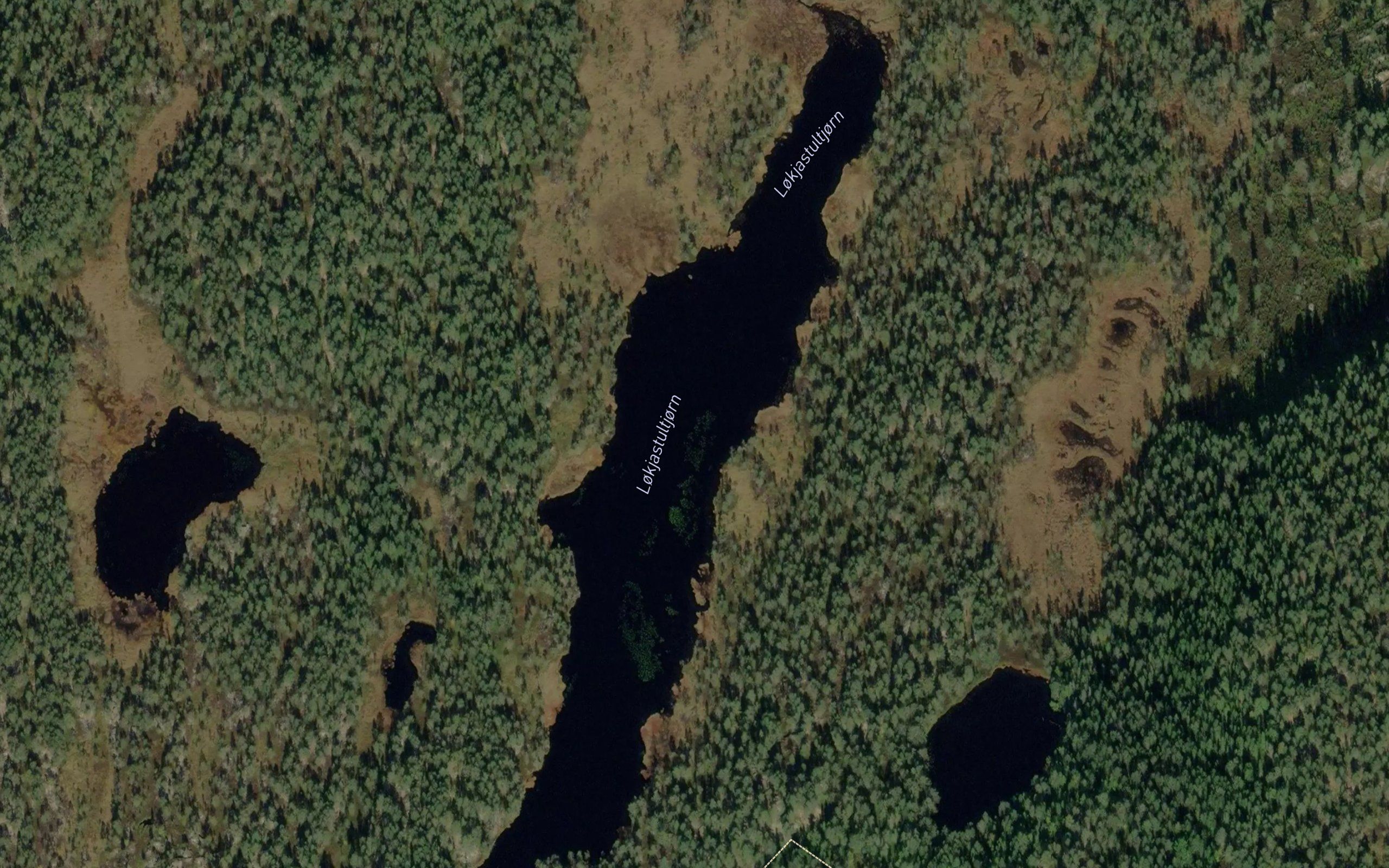 Lokjastultjorn