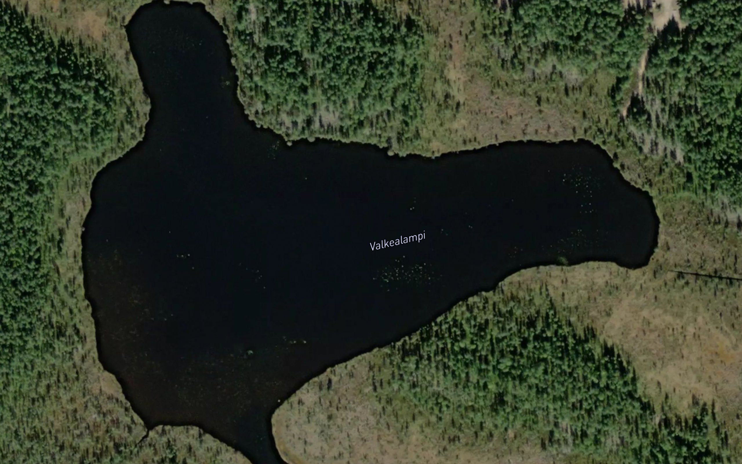 Valkealampi