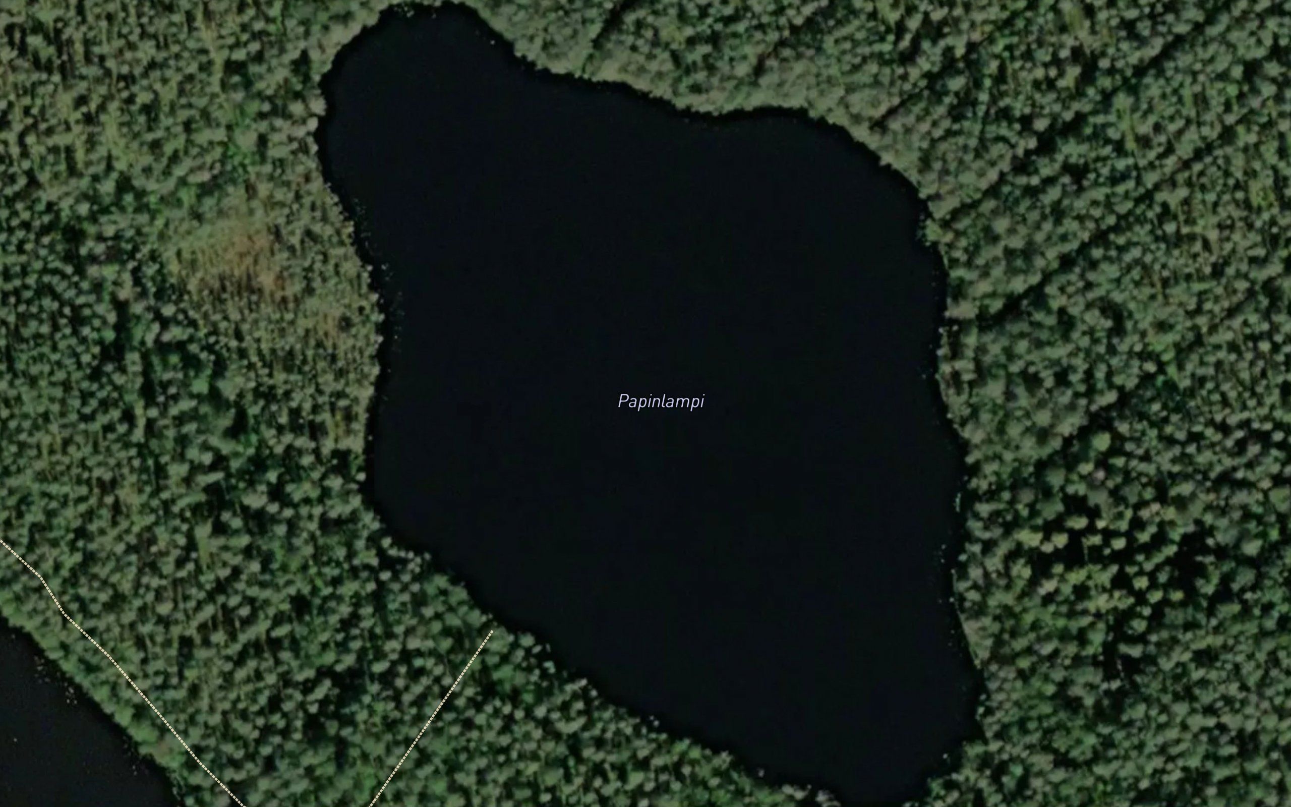 Papinlampi