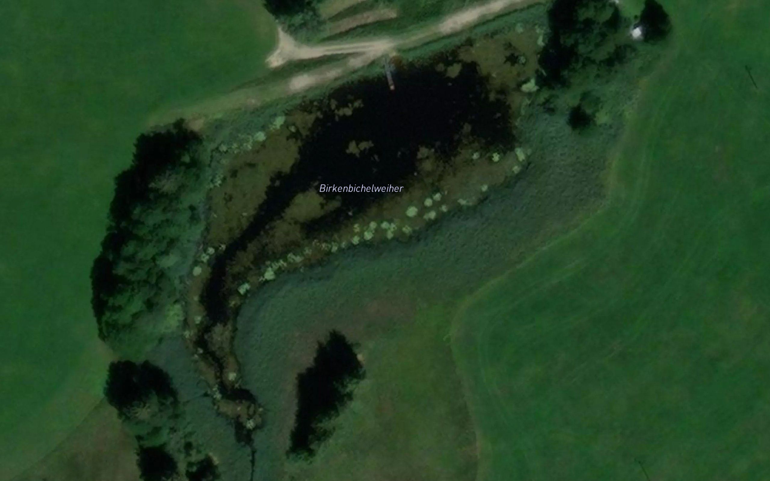 Birkenbichlweiher