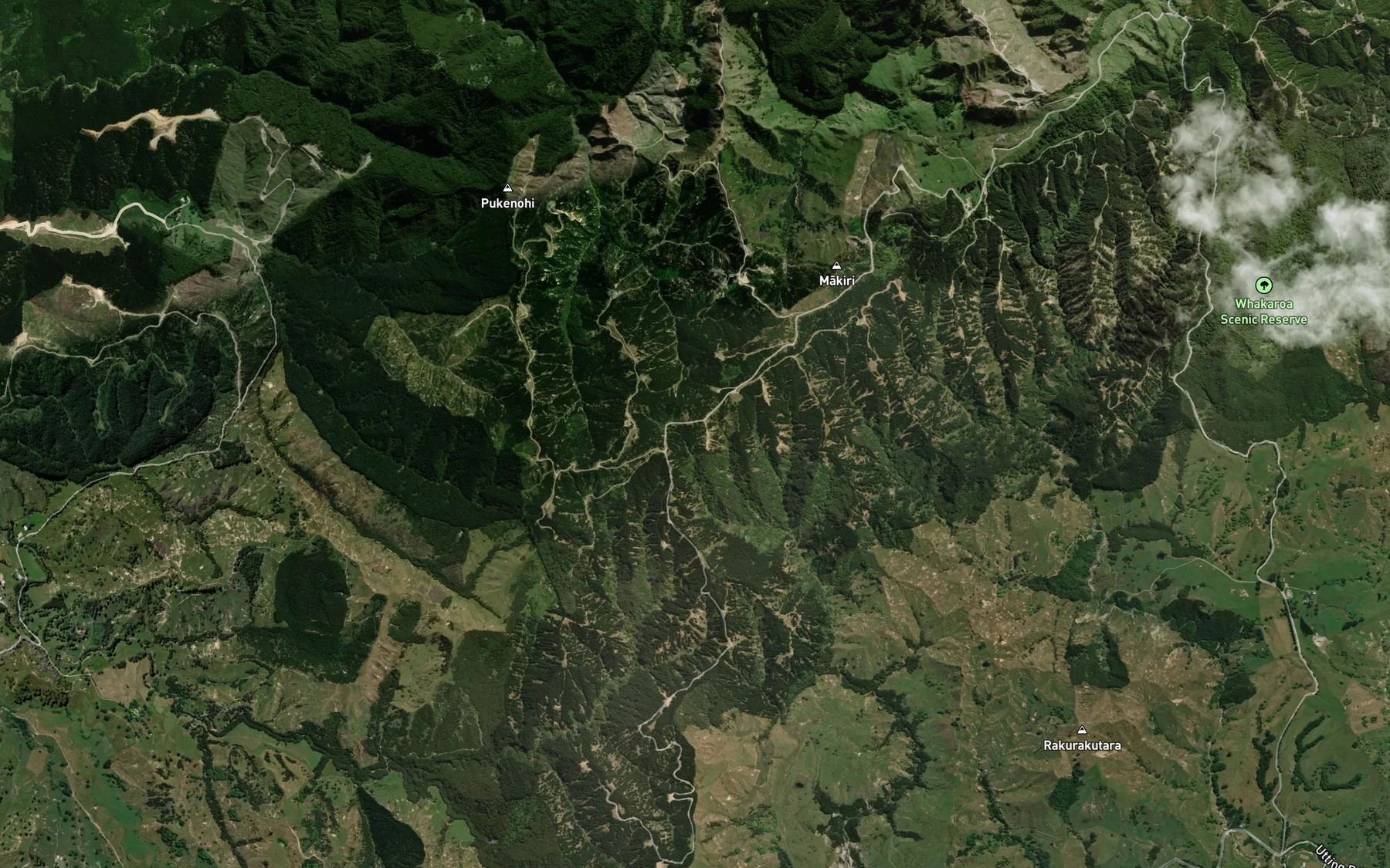 Satellite map of the Mangaehu Stream