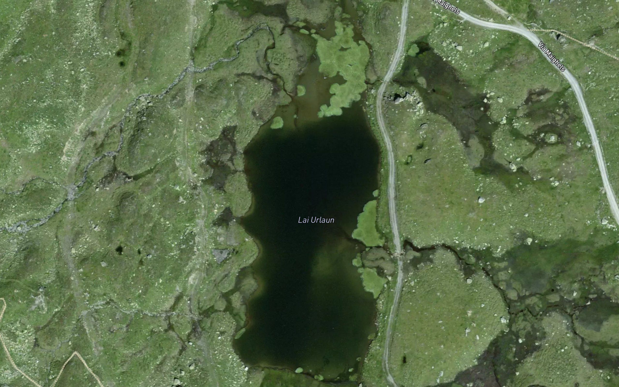 Lai Urlaun