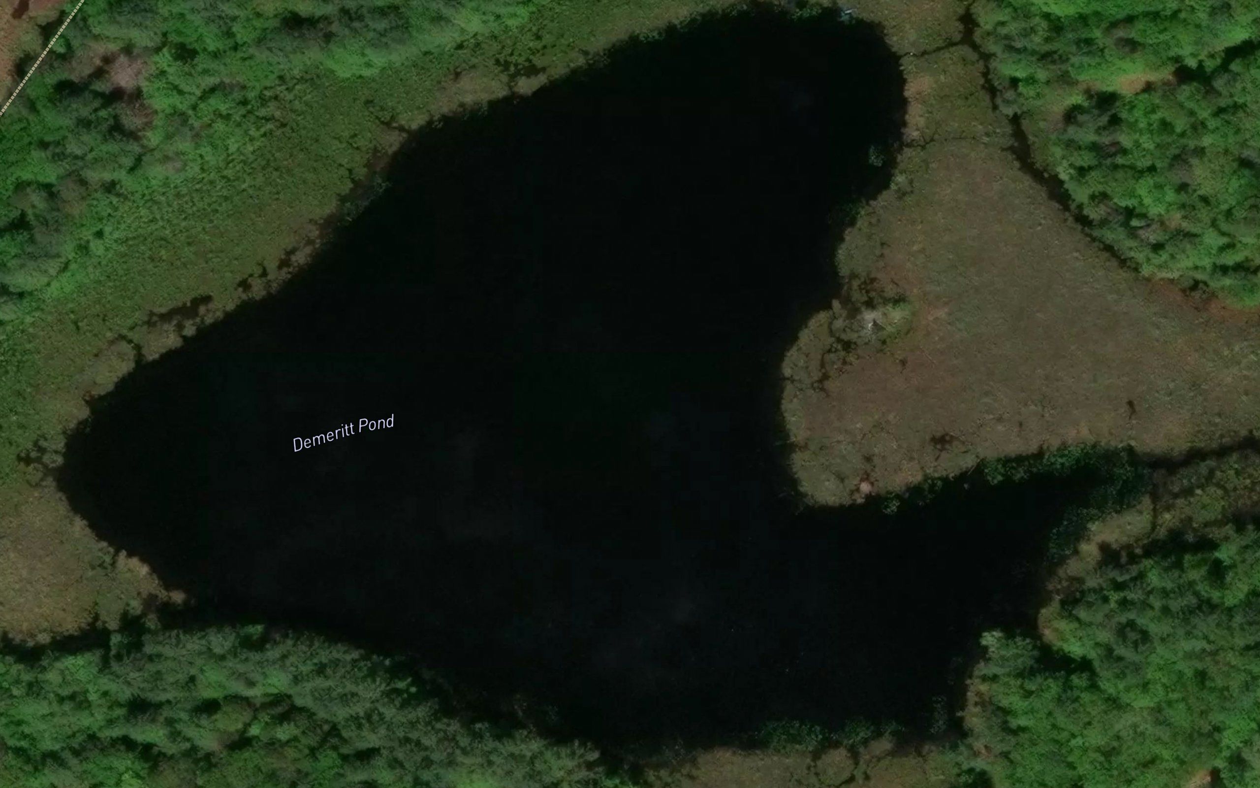 Demeritt Pond
