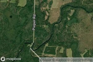 Dryden Creek