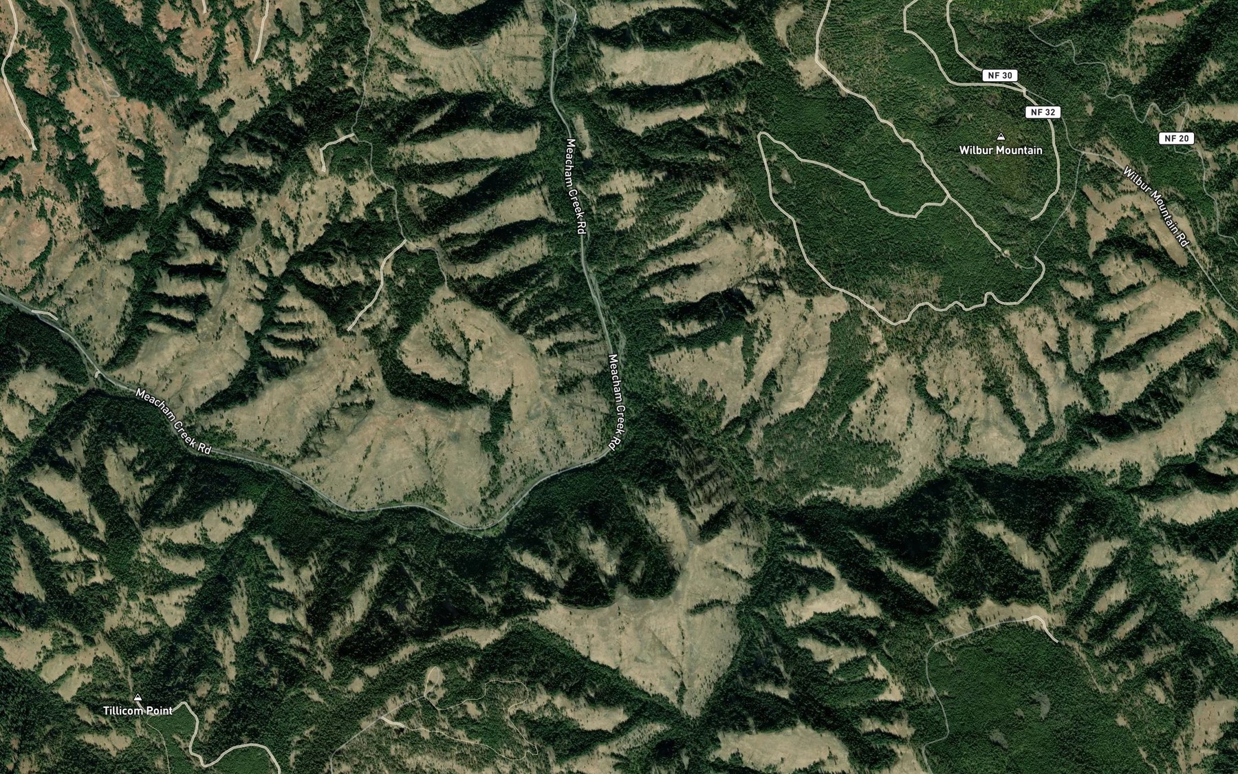 Satellite map of the East Meacham Creek