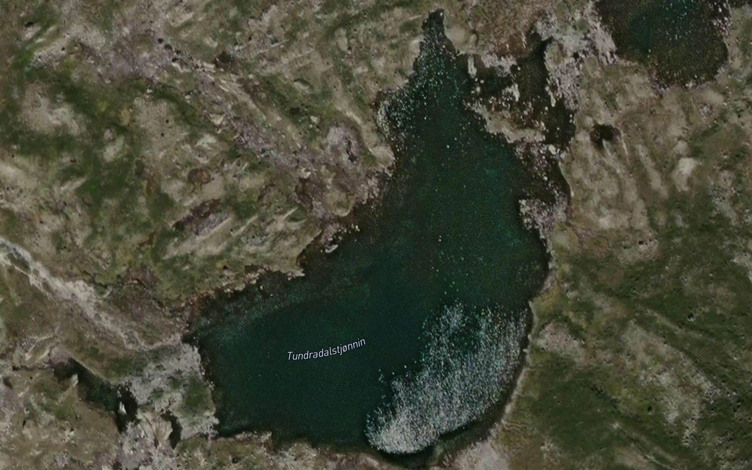 Tundradalstjornin