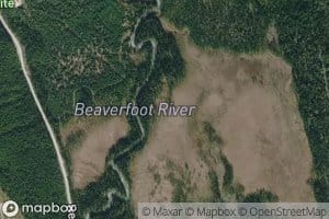Steep Creek