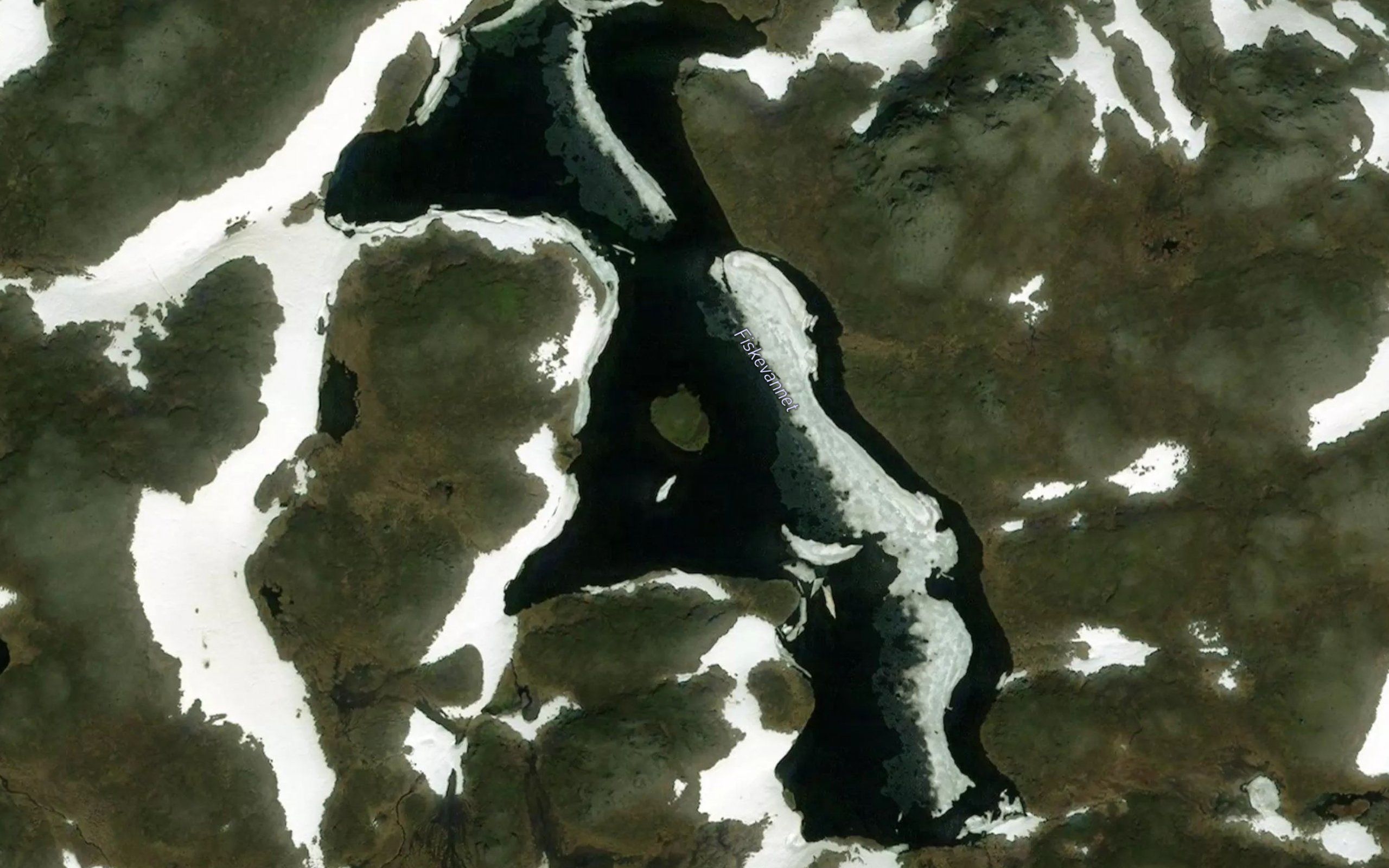 Fiskevatn