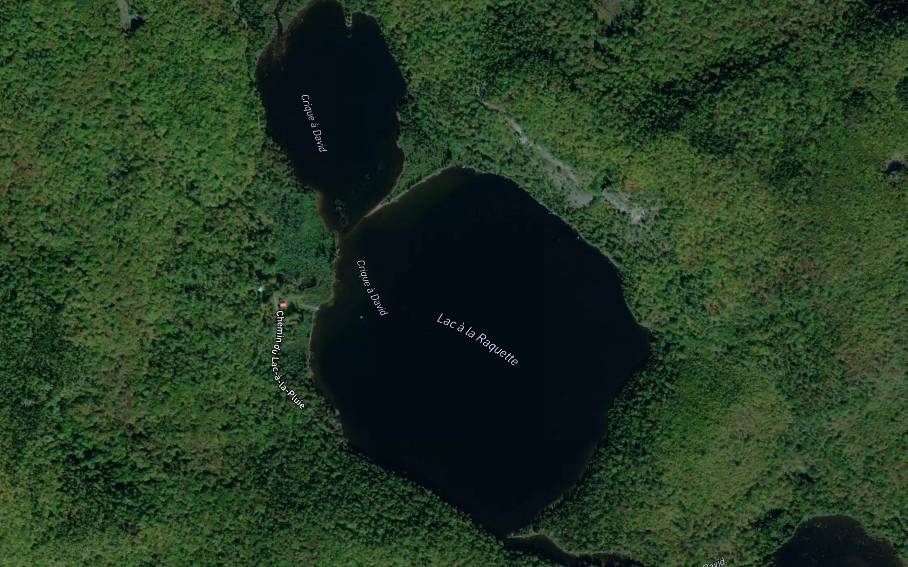 Satellite map of the Lac a la Raquette