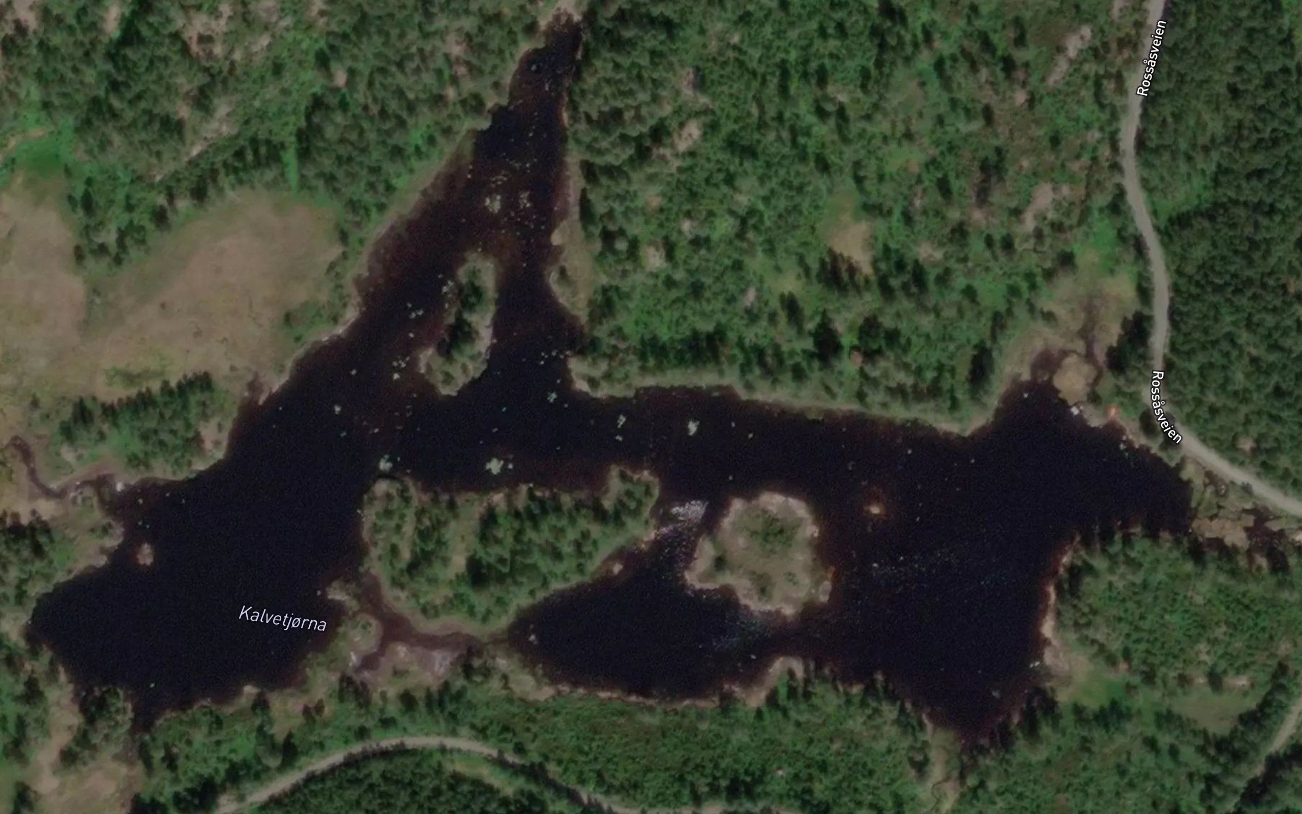 Kalvetjorna