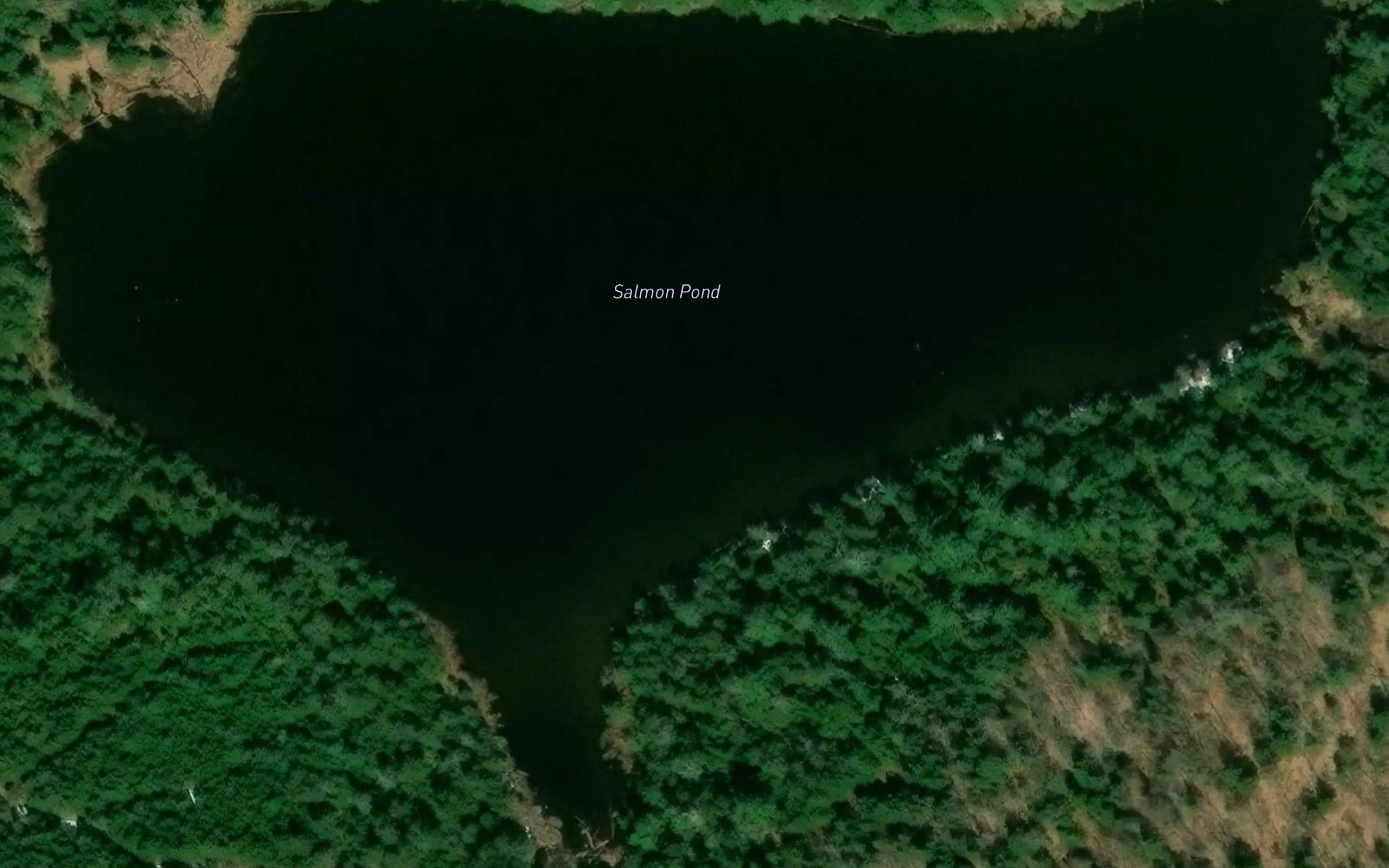 Salmon Pond