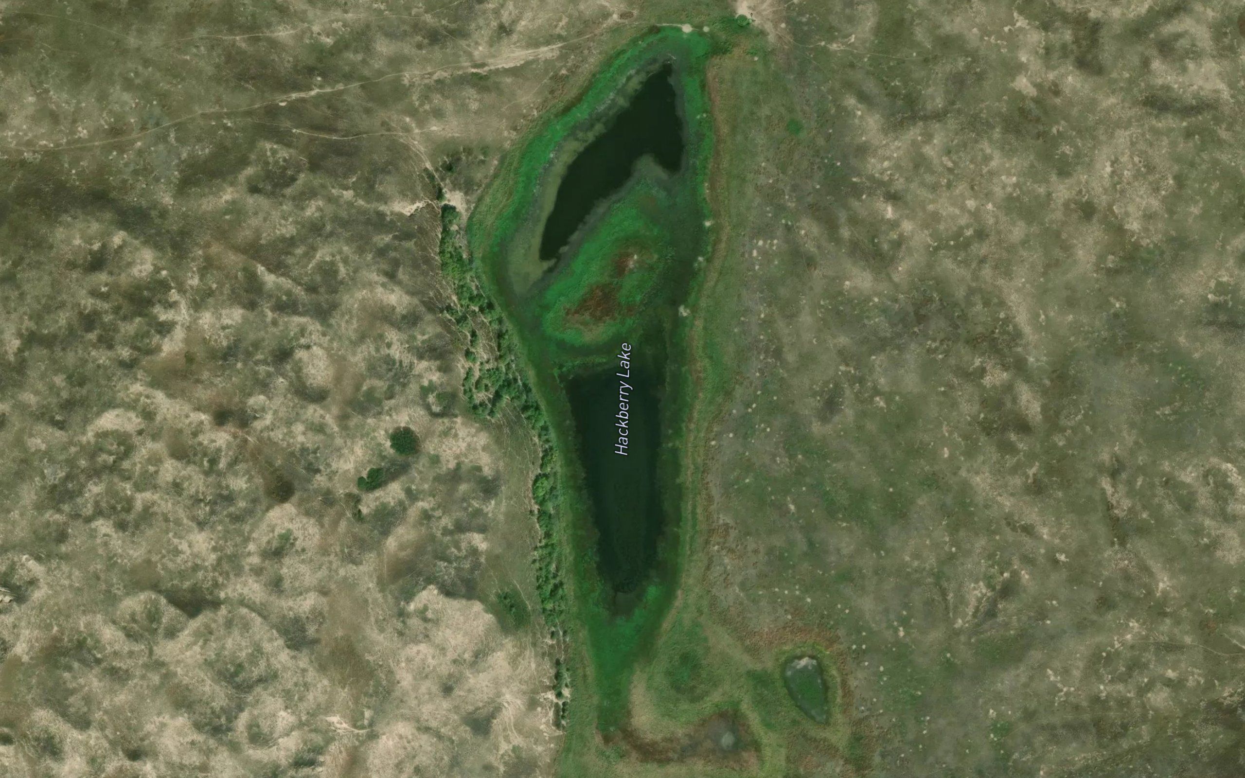 Hackberry Lake