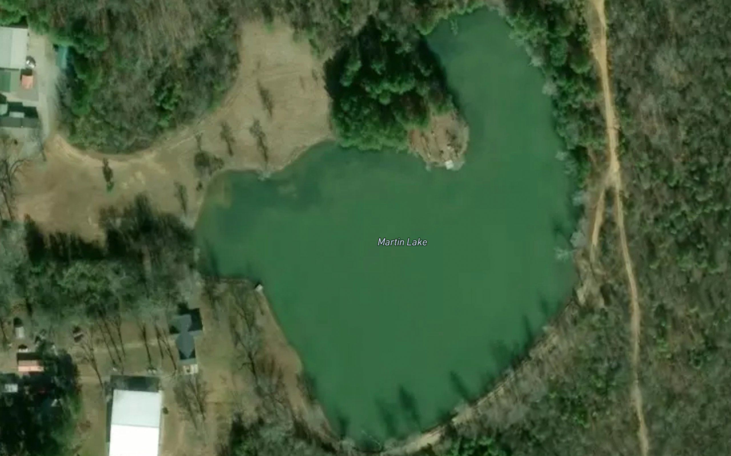 Martin Lake