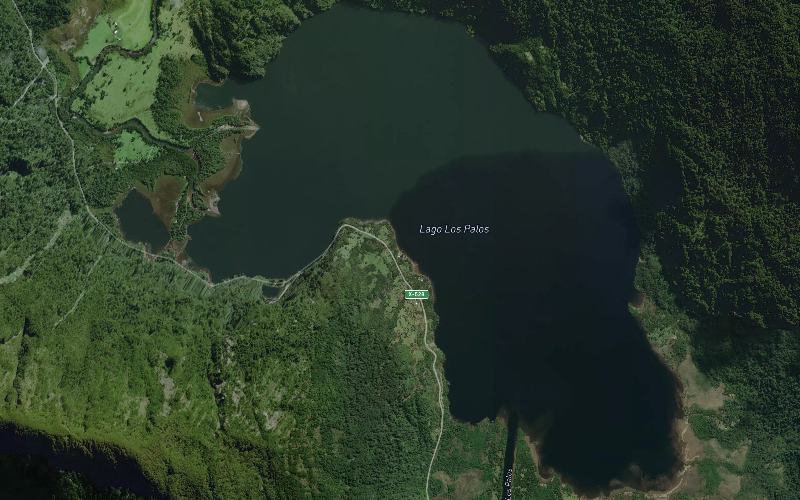 Laguna de los Palos