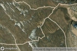 Chicken Spring