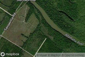 Buzzards Roost Branch