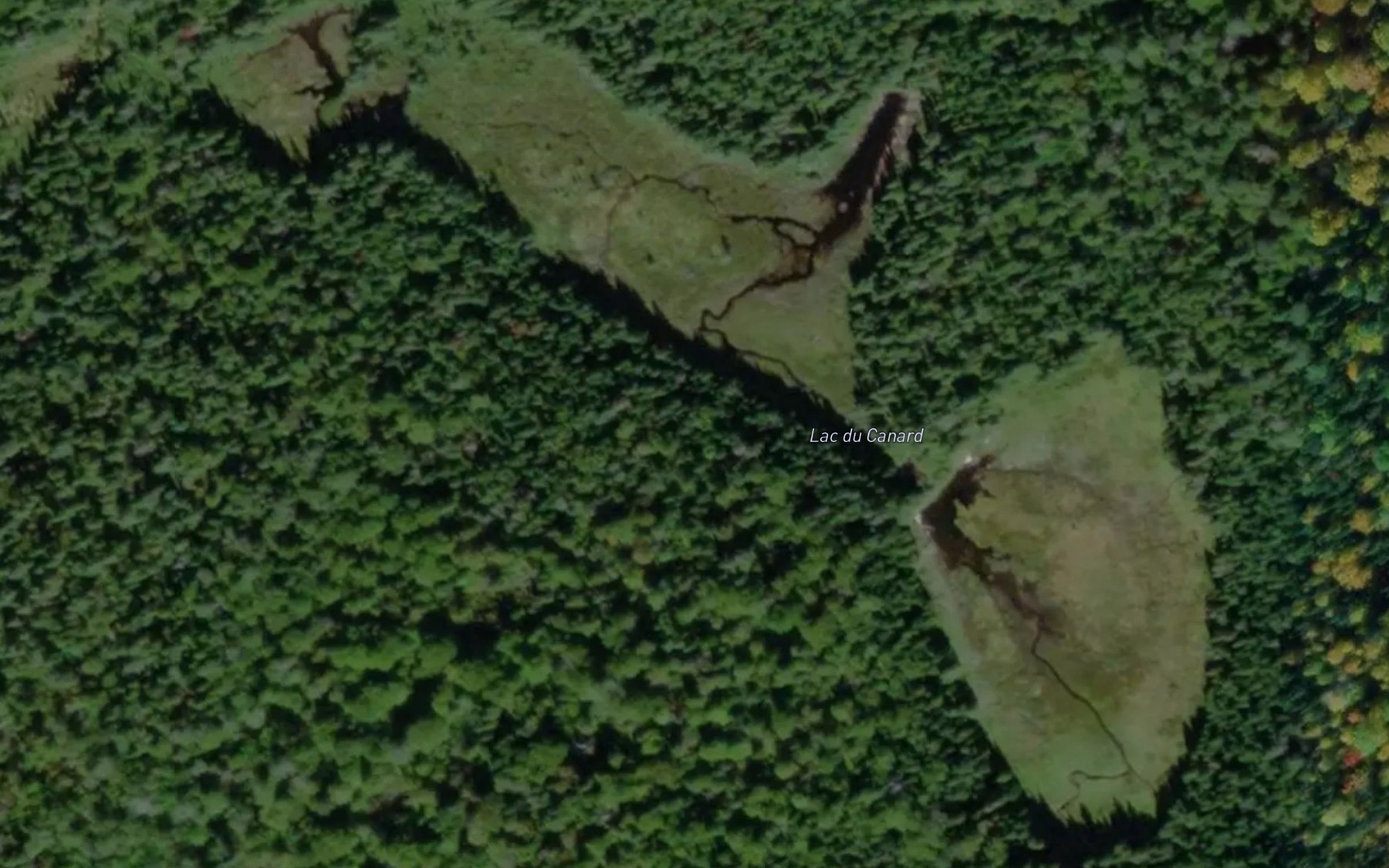 Satellite map of the Lac du Canard