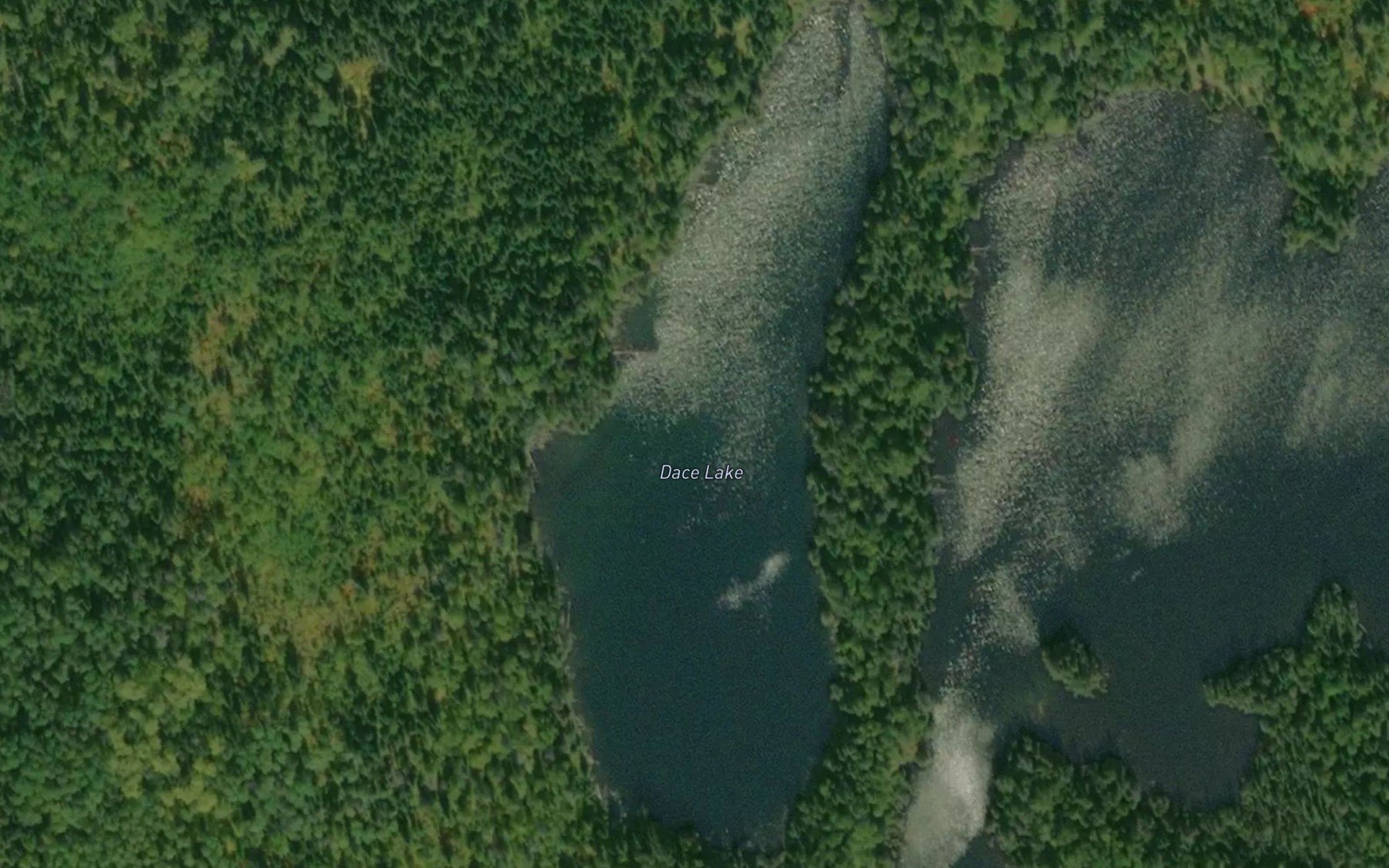 Satellite map of the Dace Lake