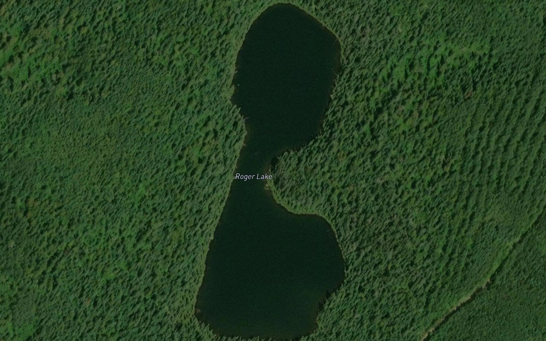 Satellite map of the Roger Lake