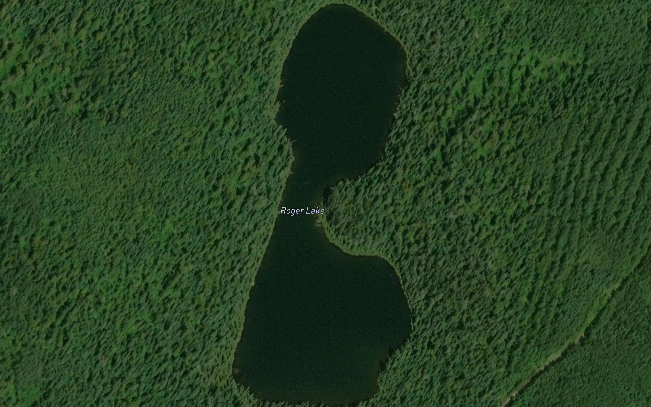 Roger Lake