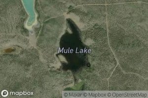 Mule Lake